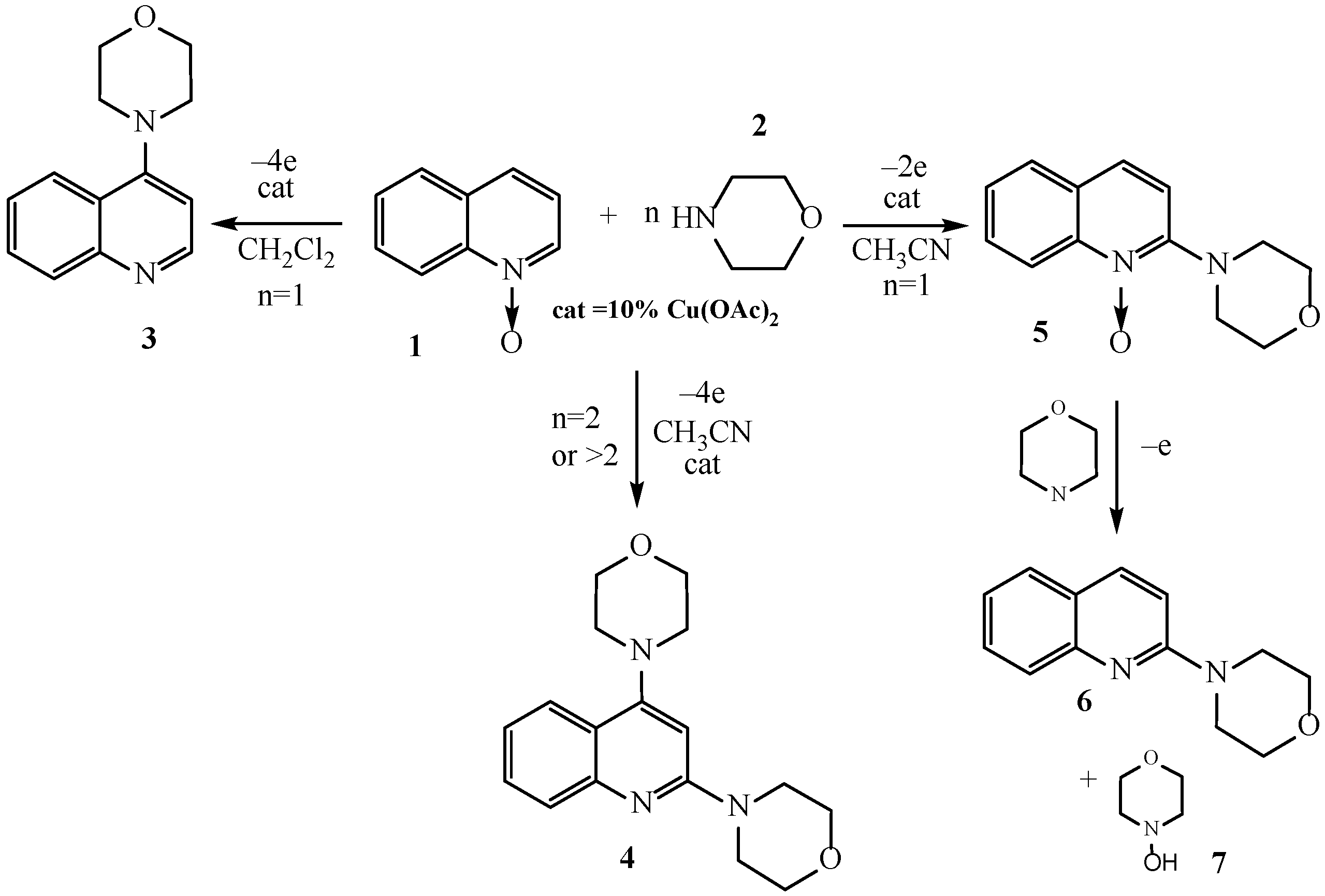 Catalysts 13 01279 sch002