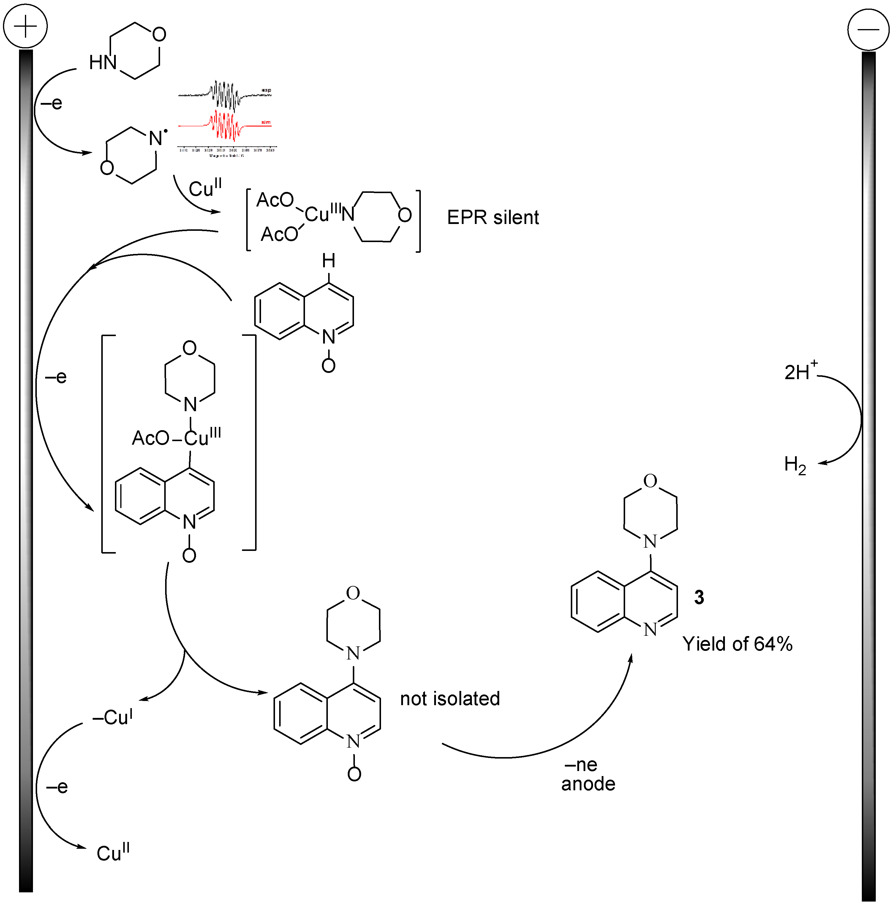 Catalysts 13 01279 sch003