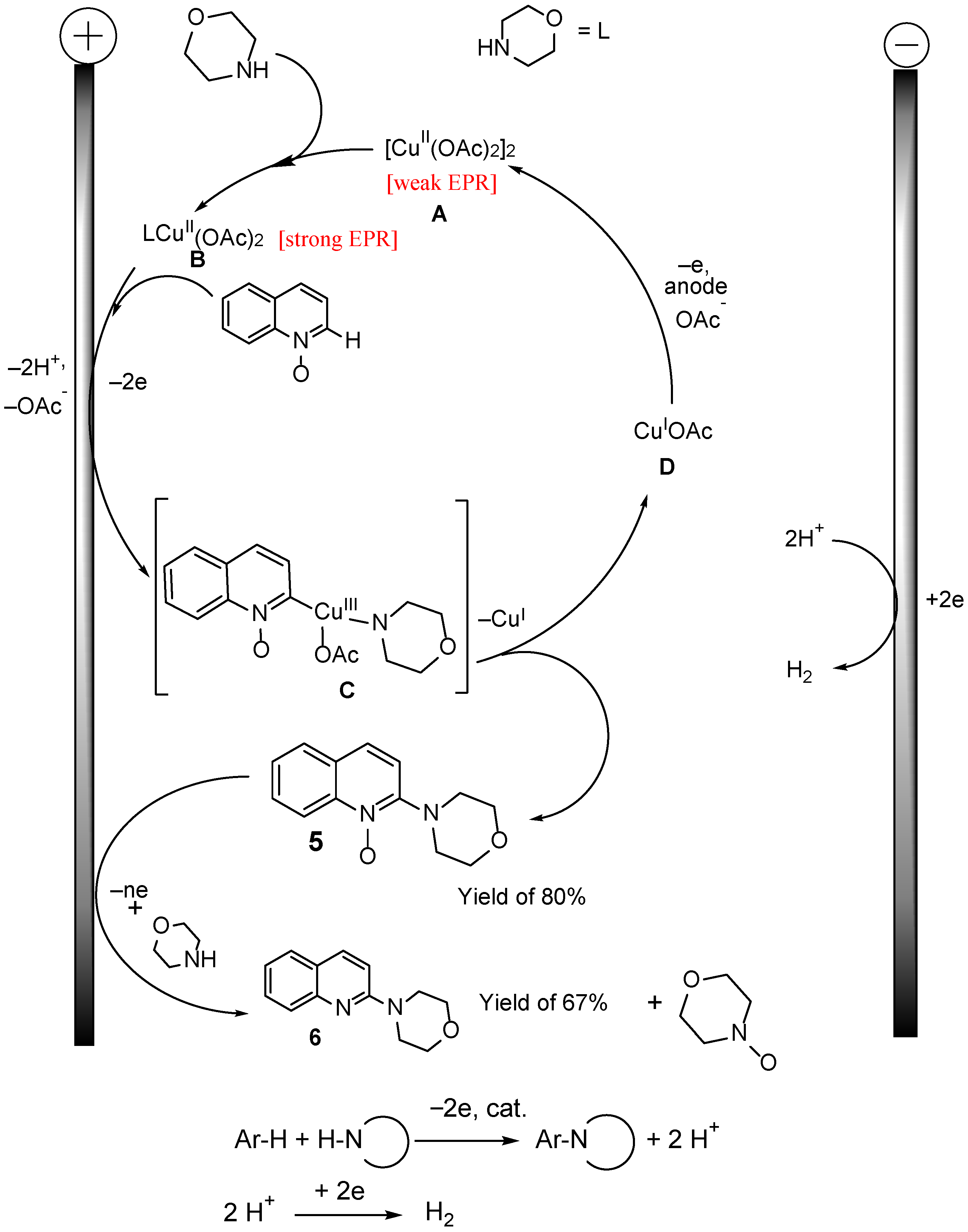 Catalysts 13 01279 sch004