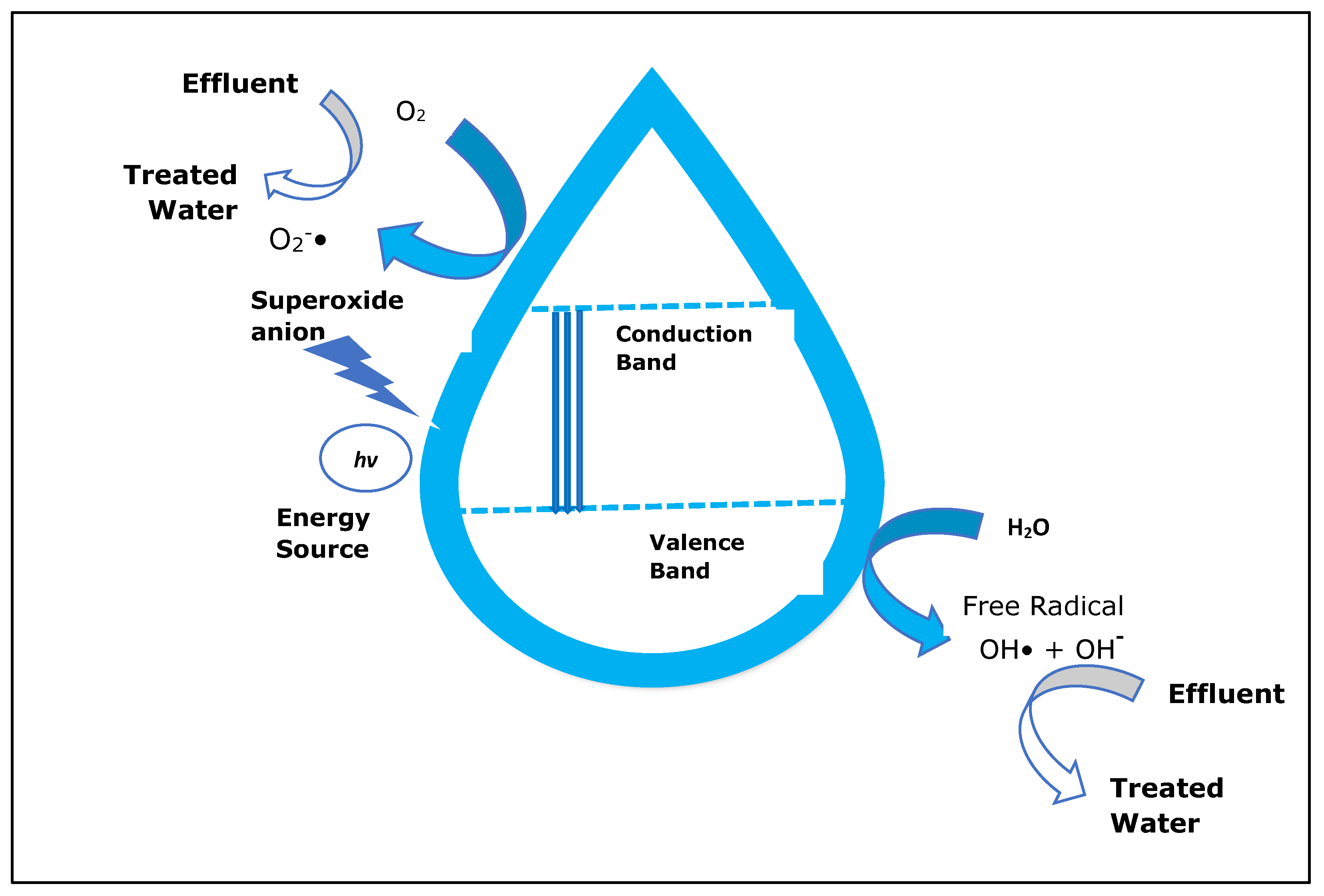 Catalysts 13 01280 g002
