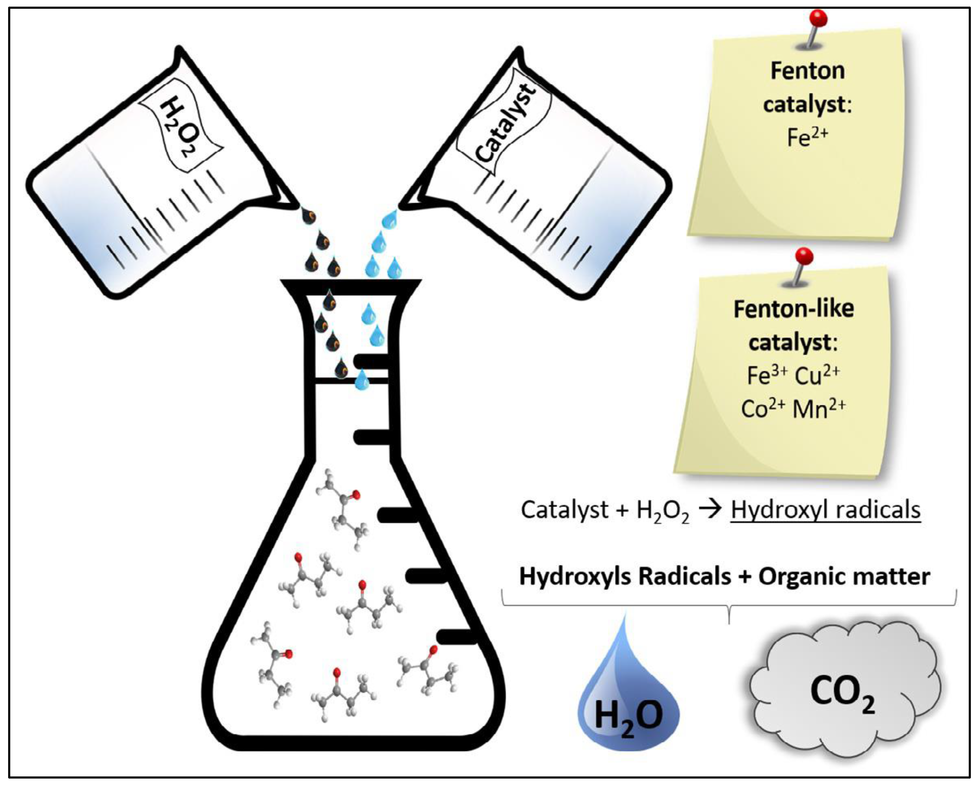 Catalysts 13 01280 g005