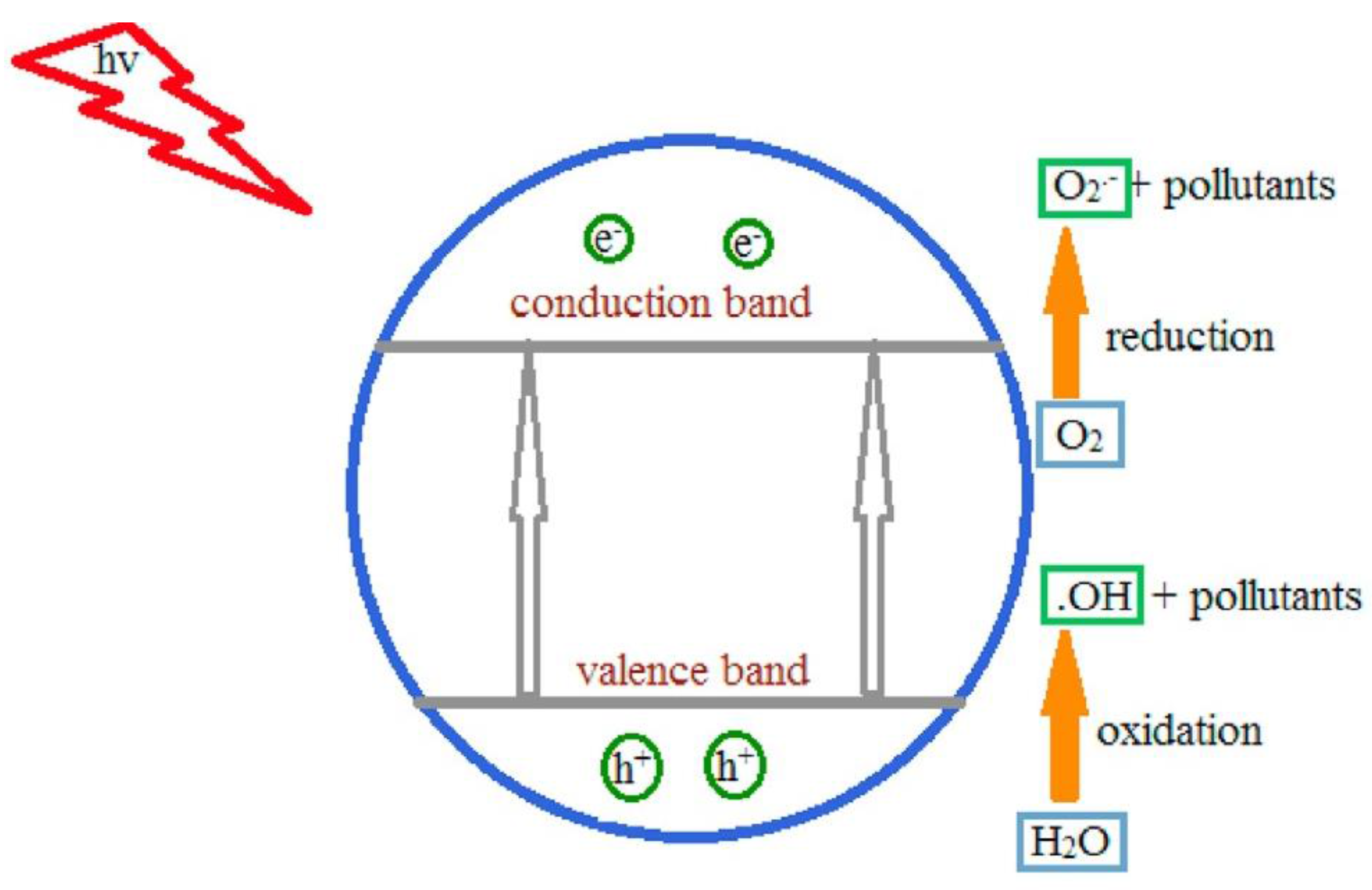 Catalysts 13 01280 g007