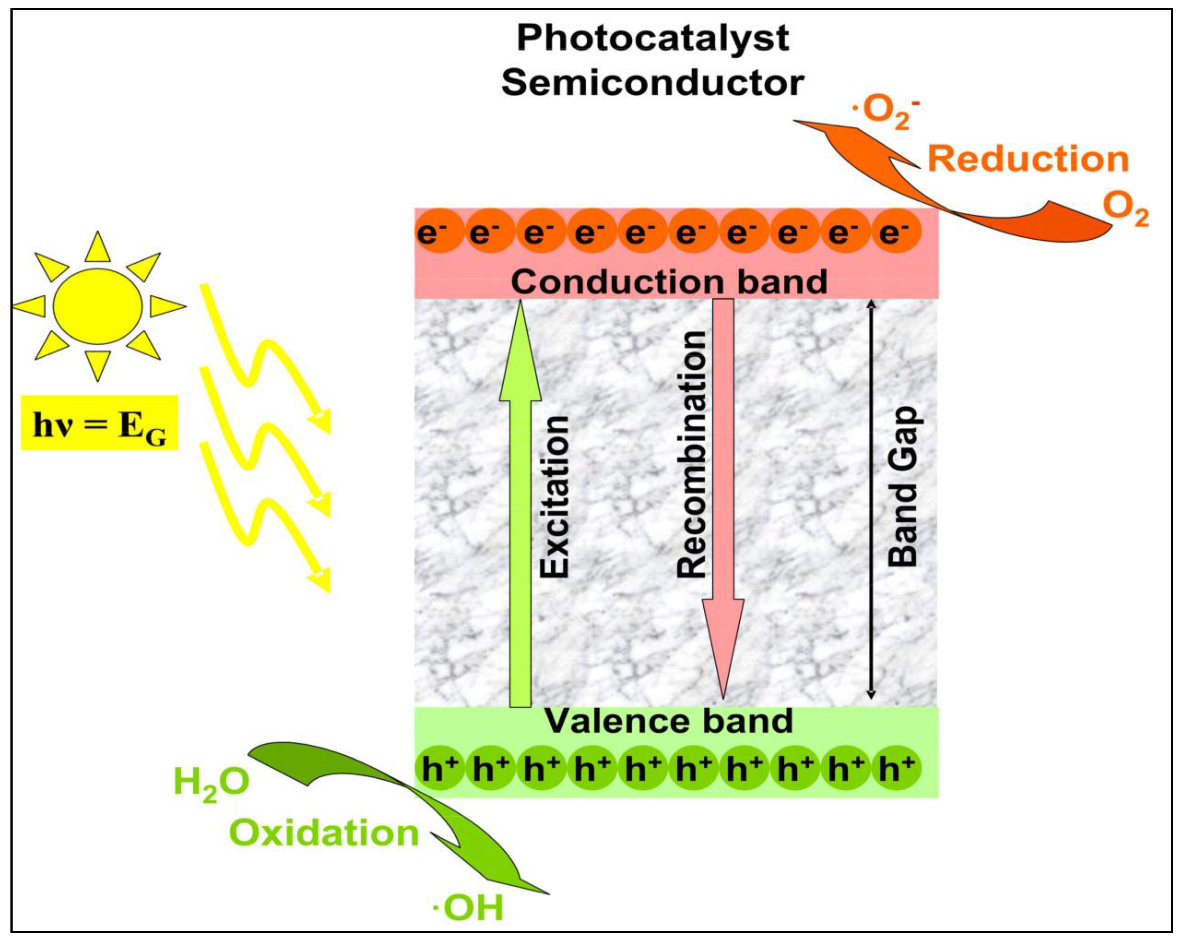 Catalysts 13 01280 g009