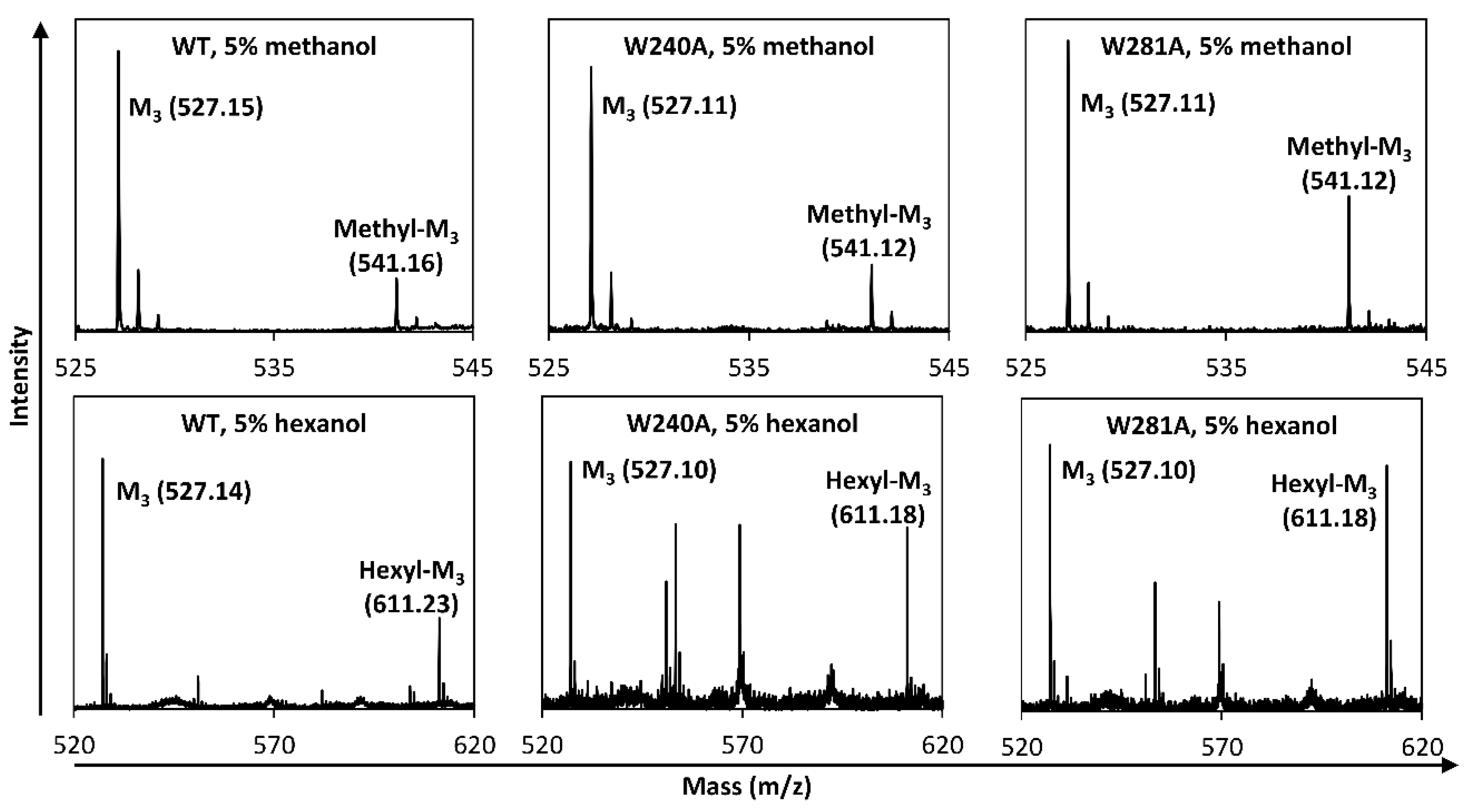 Catalysts 13 01281 g003