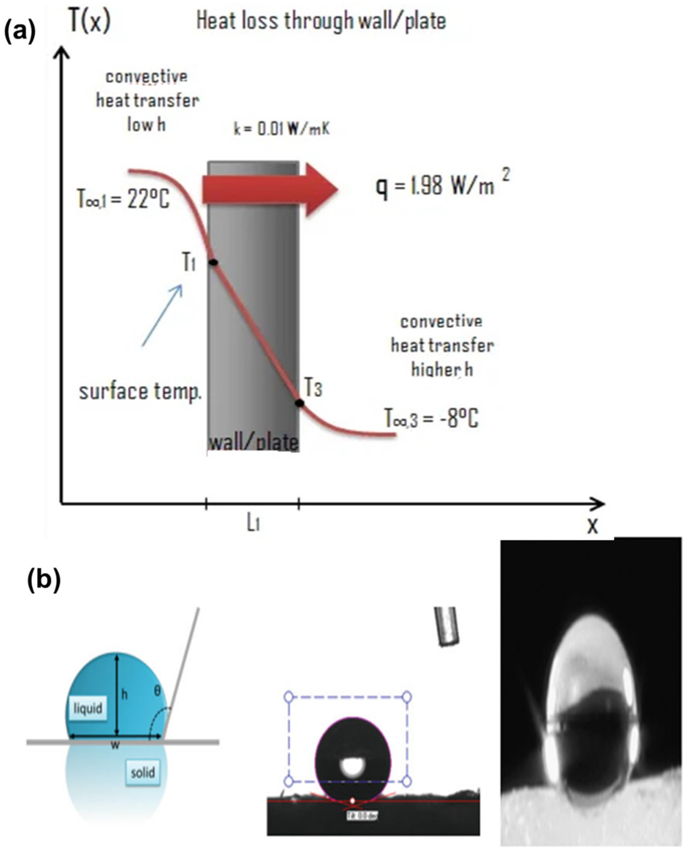 Catalysts 13 01286 g008 Catalysts 13 01286 g008