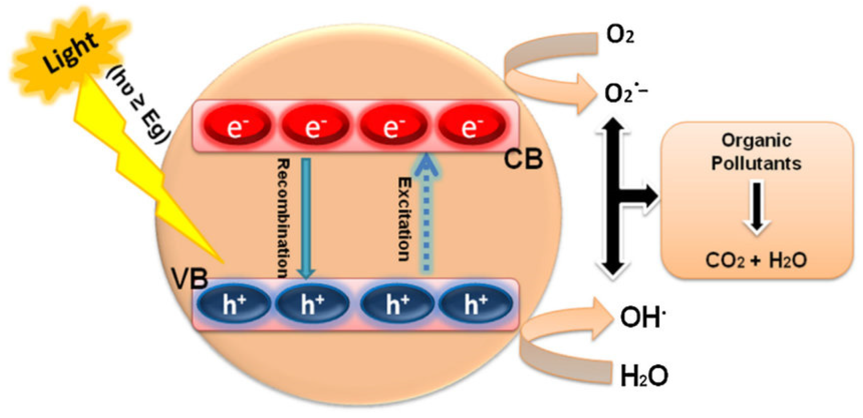 Catalysts 13 01286 g014 Catalysts 13 01286 g014