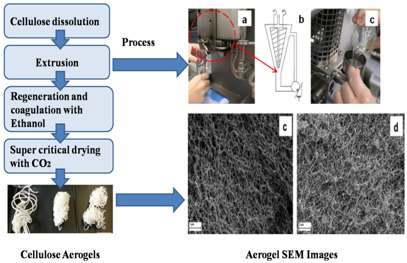 Catalysts 13 01286 g018 Catalysts 13 01286 g018