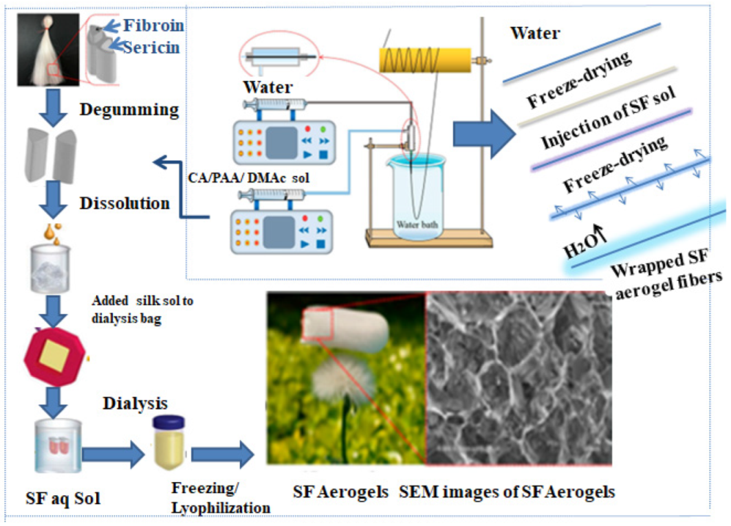 Catalysts 13 01286 g019 Catalysts 13 01286 g019