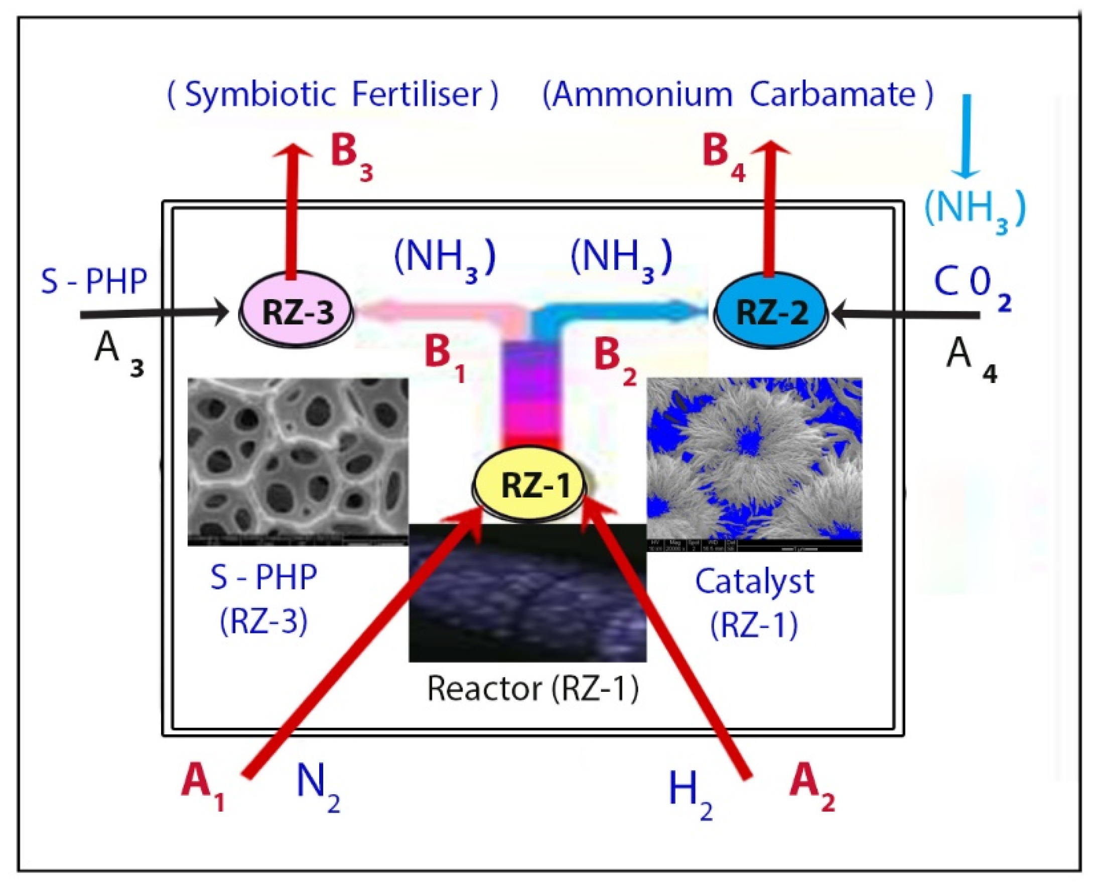 Catalysts 13 01287 g001 Catalysts 13 01287 g001