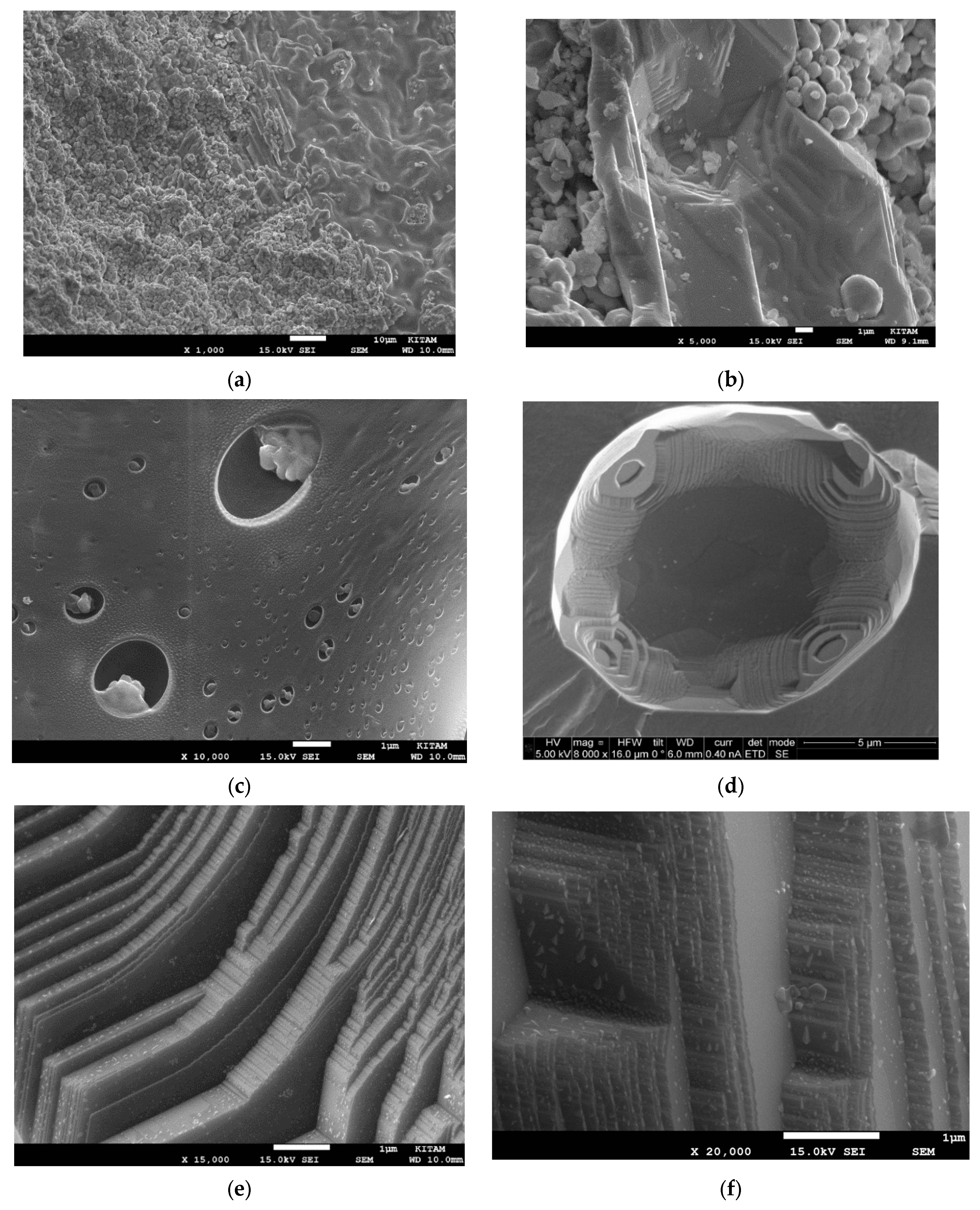 Catalysts 13 01287 g012a Catalysts 13 01287 g012a