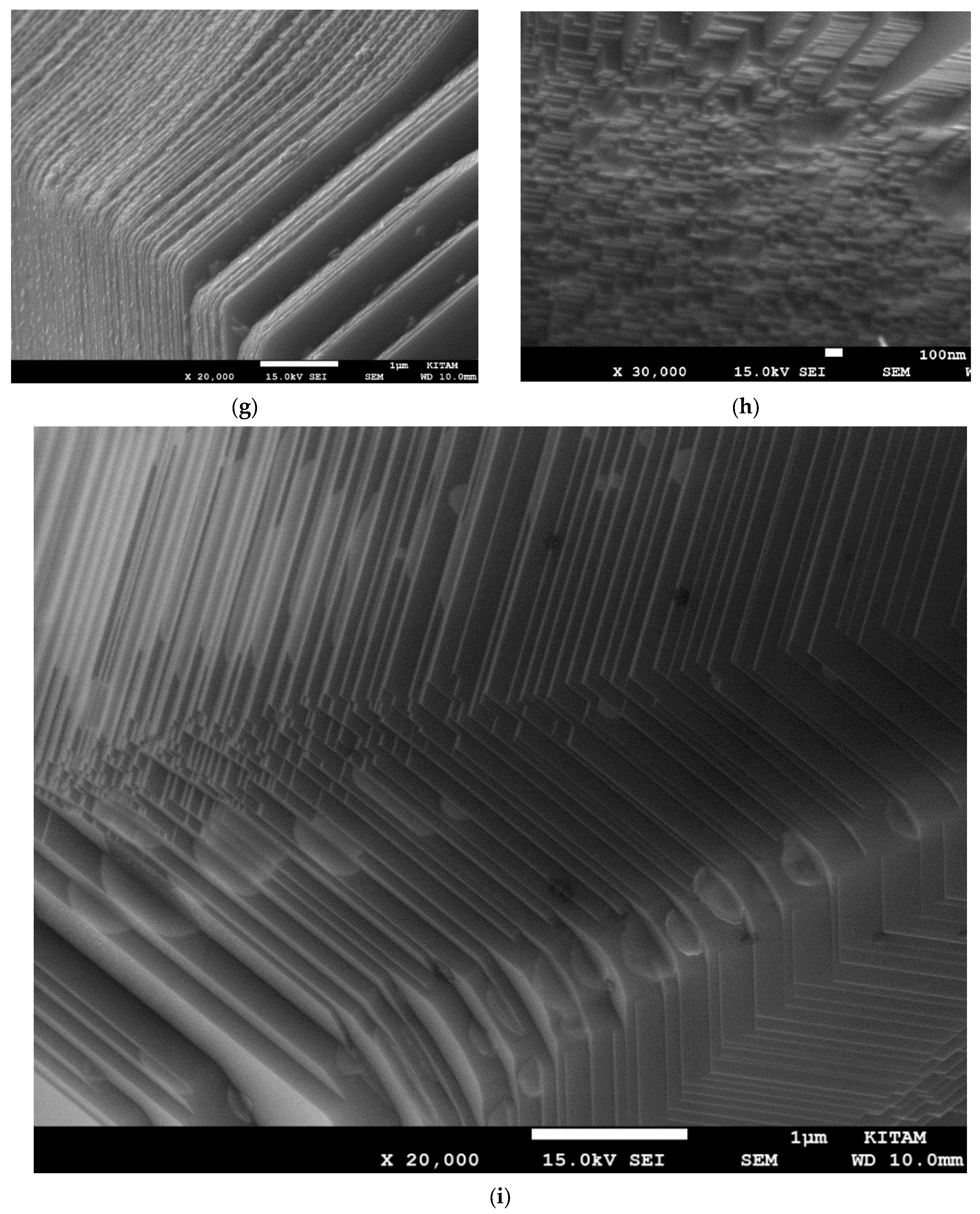 Catalysts 13 01287 g012b Catalysts 13 01287 g012b