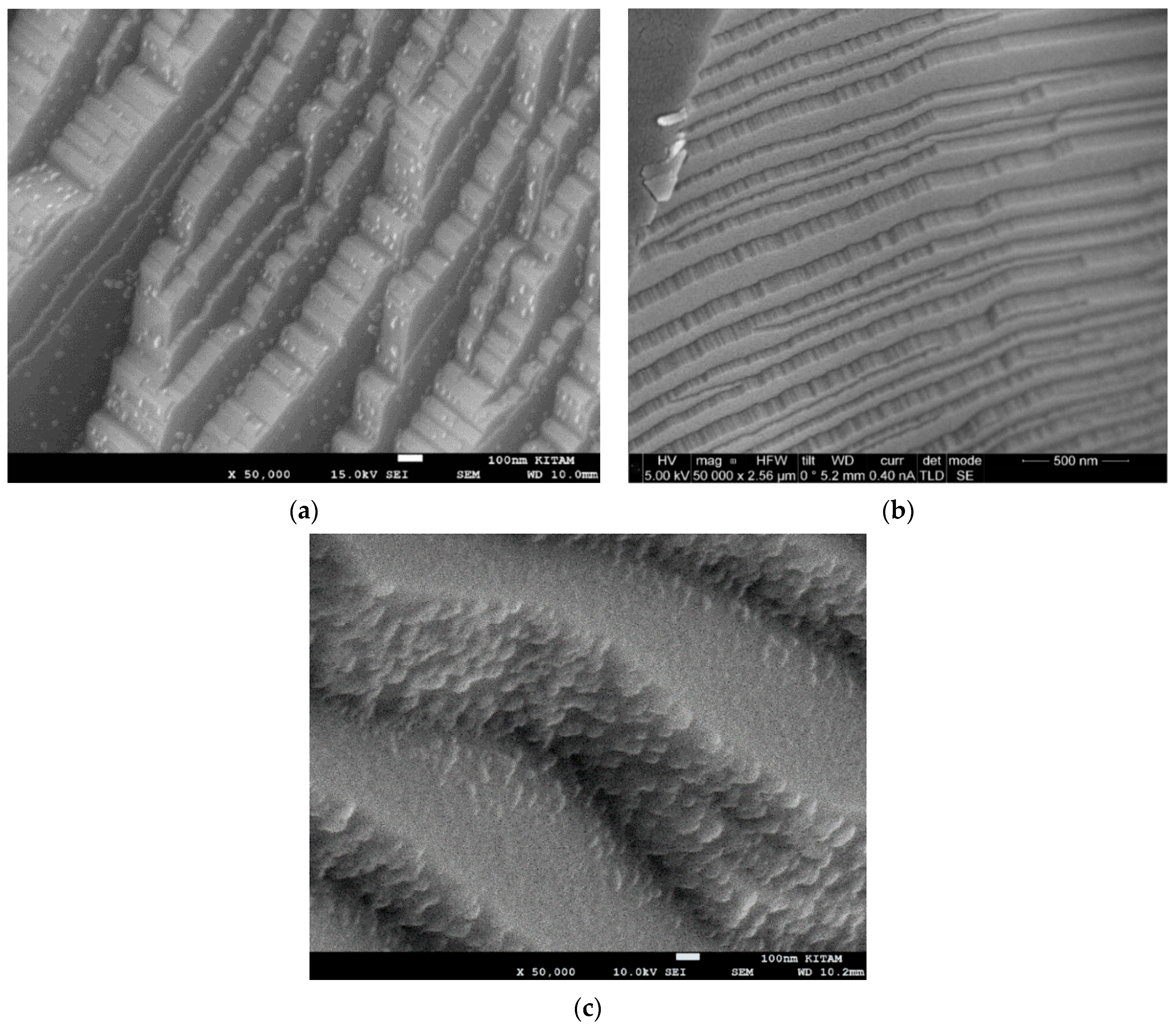 Catalysts 13 01287 g017 Catalysts 13 01287 g017