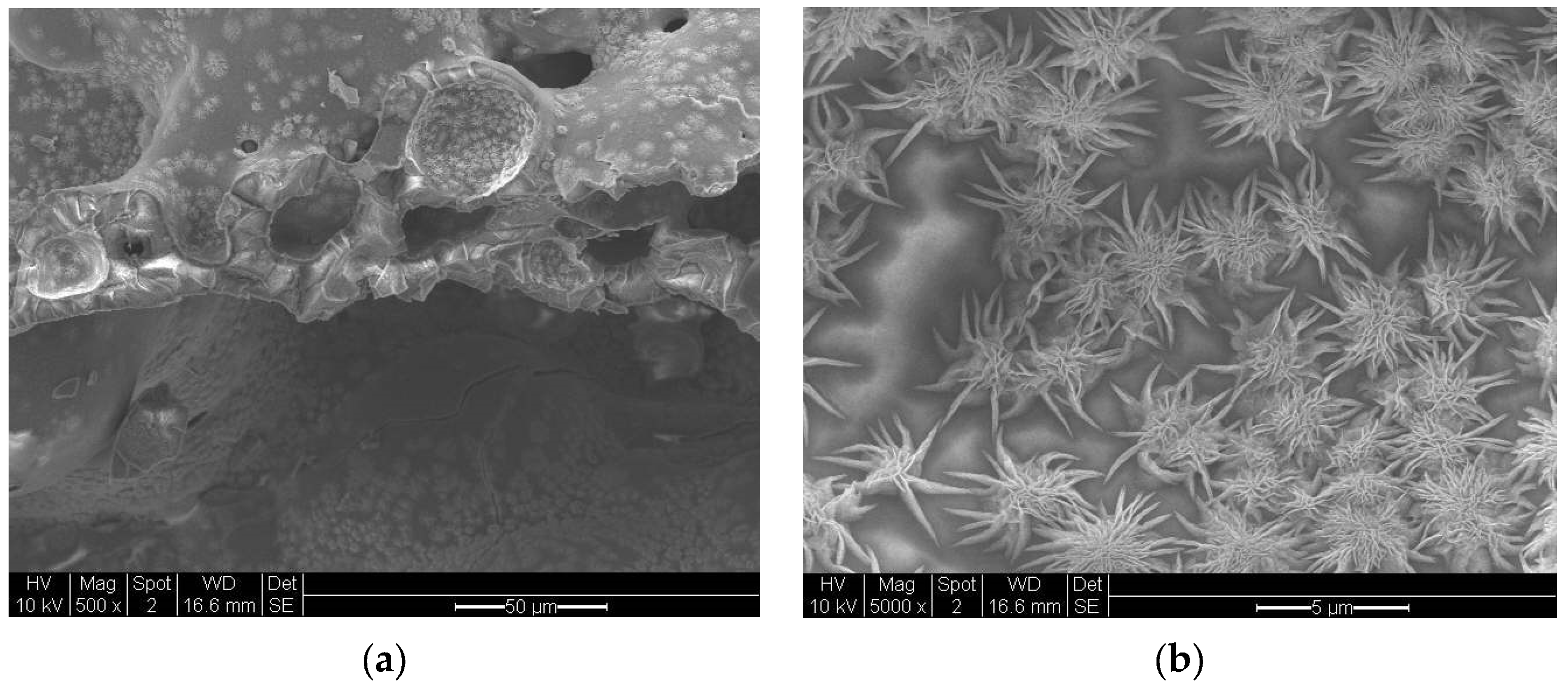 Catalysts 13 01287 g020 Catalysts 13 01287 g020