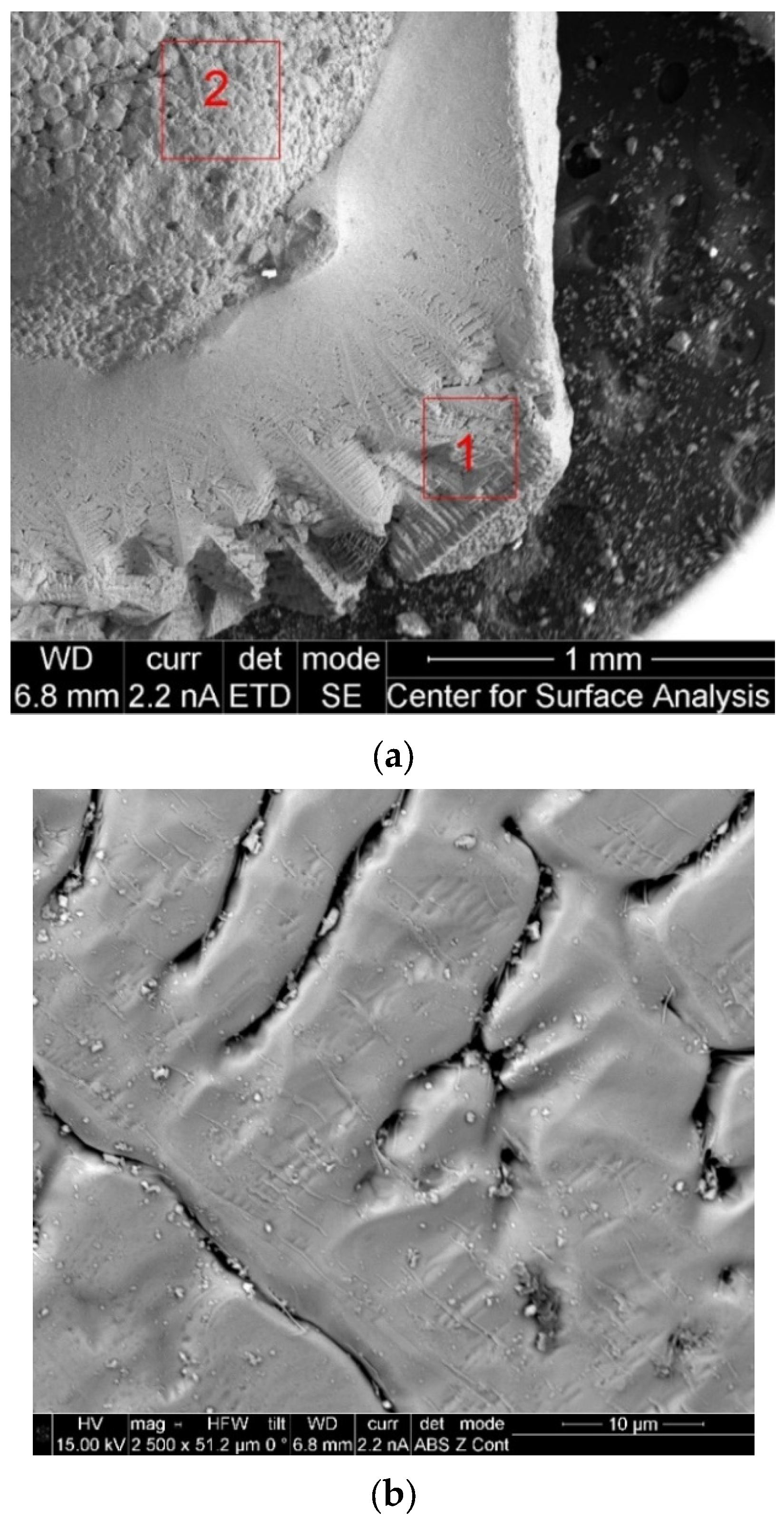 Catalysts 13 01287 g021a Catalysts 13 01287 g021a