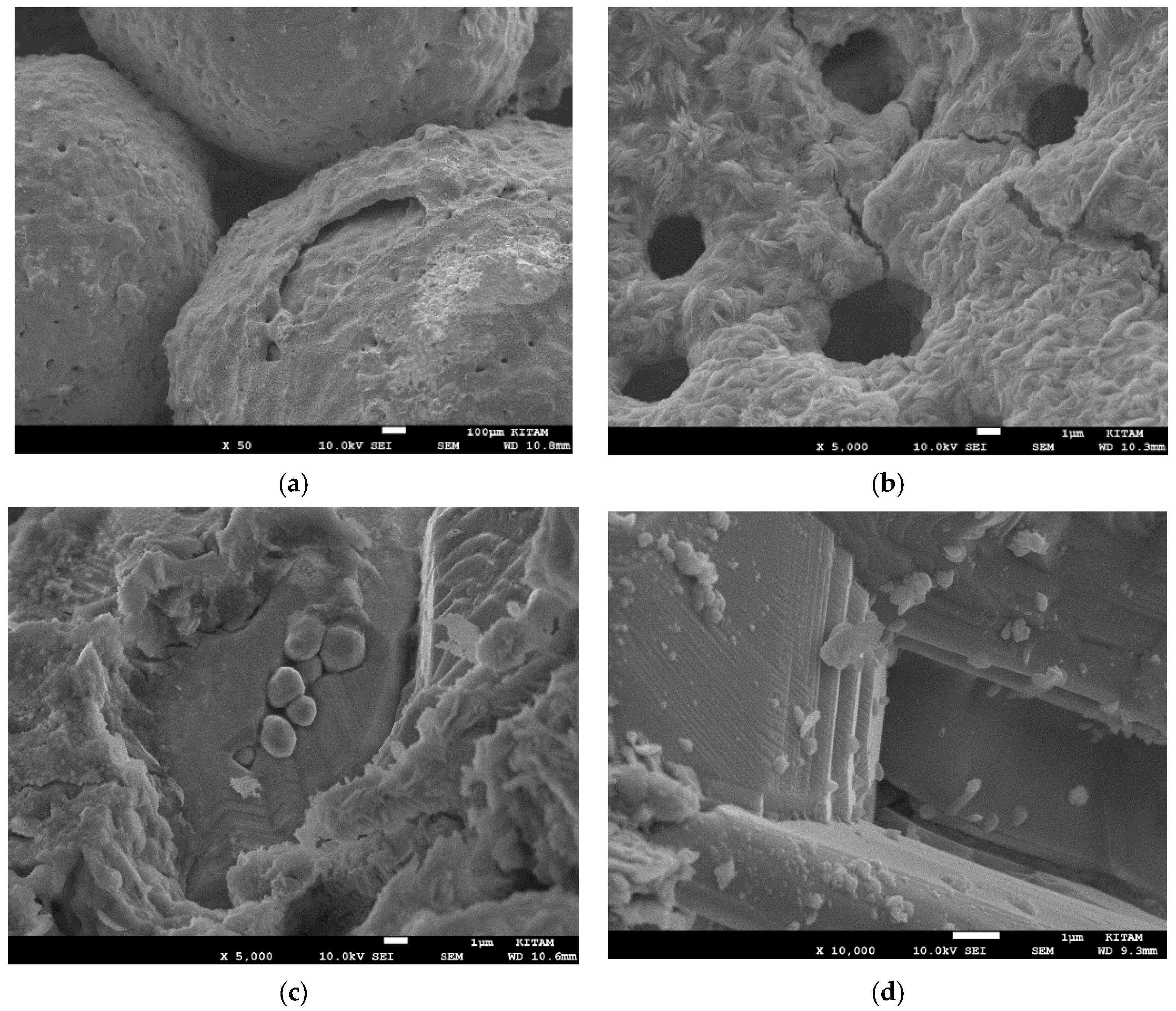 Catalysts 13 01287 g024 Catalysts 13 01287 g024