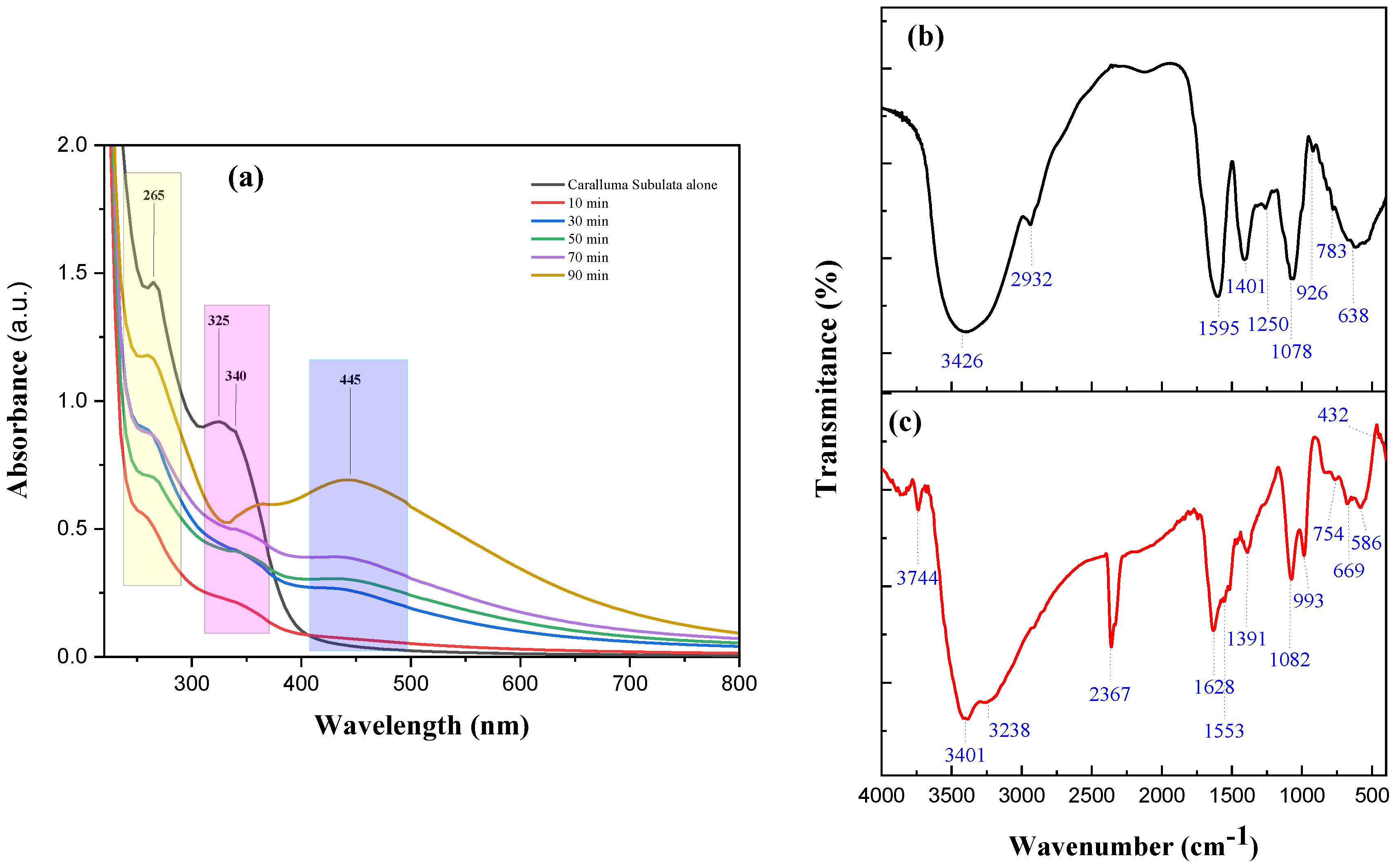 Catalysts 13 01290 g001