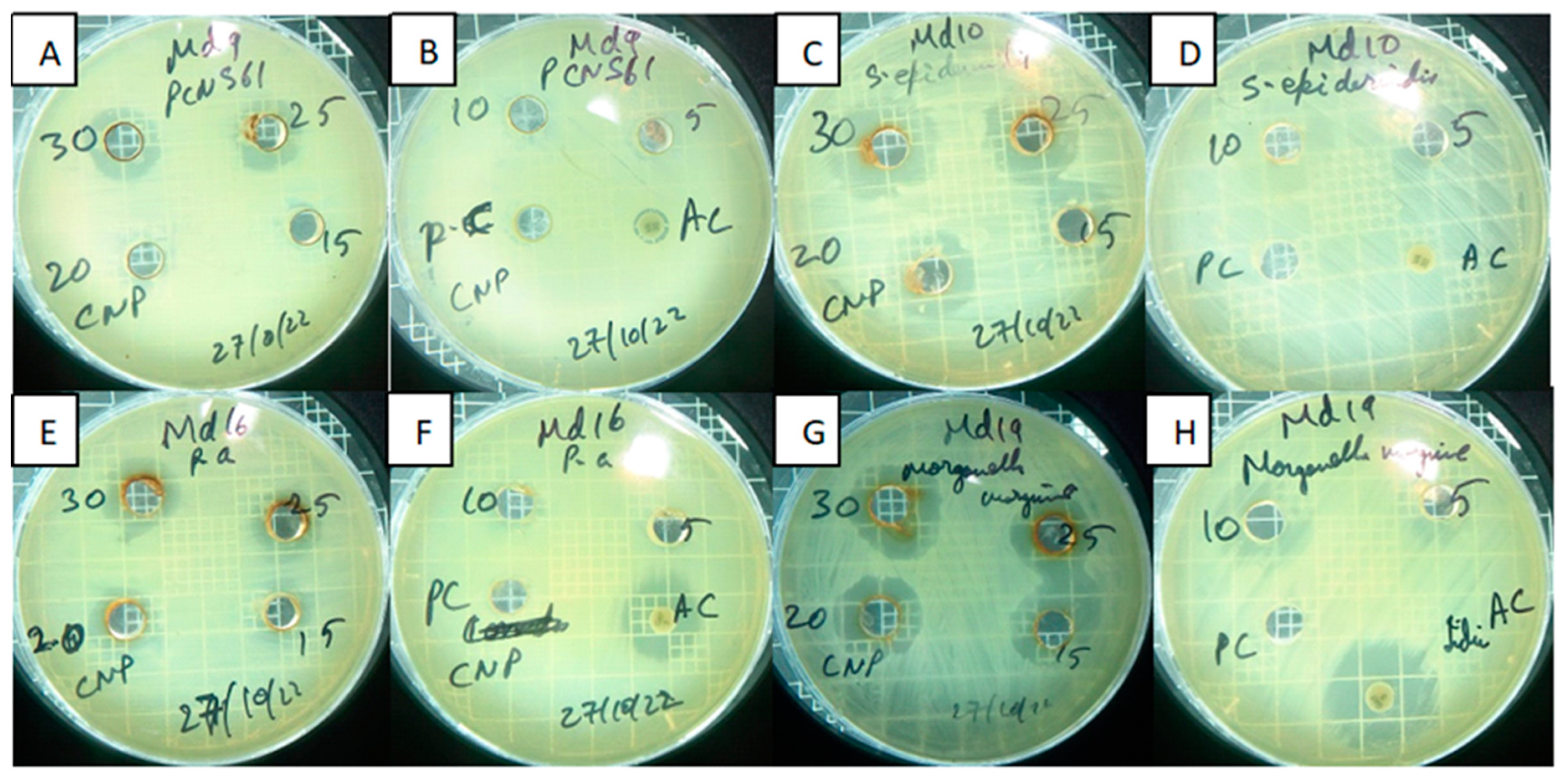 Catalysts 13 01290 g009