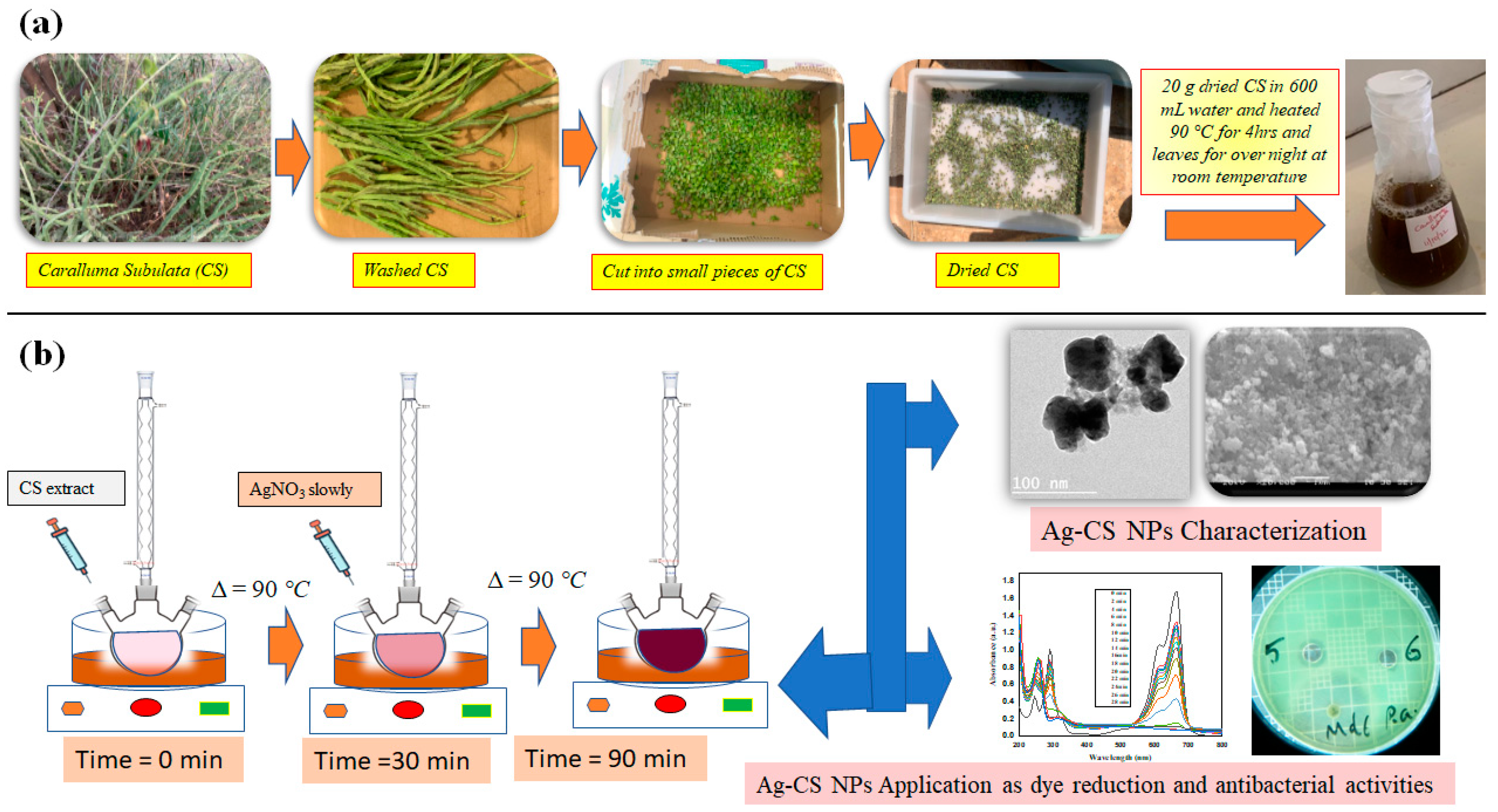 Catalysts 13 01290 g010