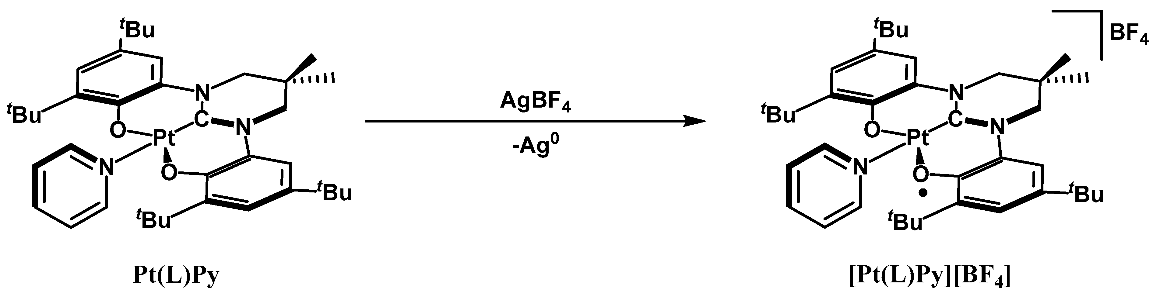 Catalysts 13 01291 sch002