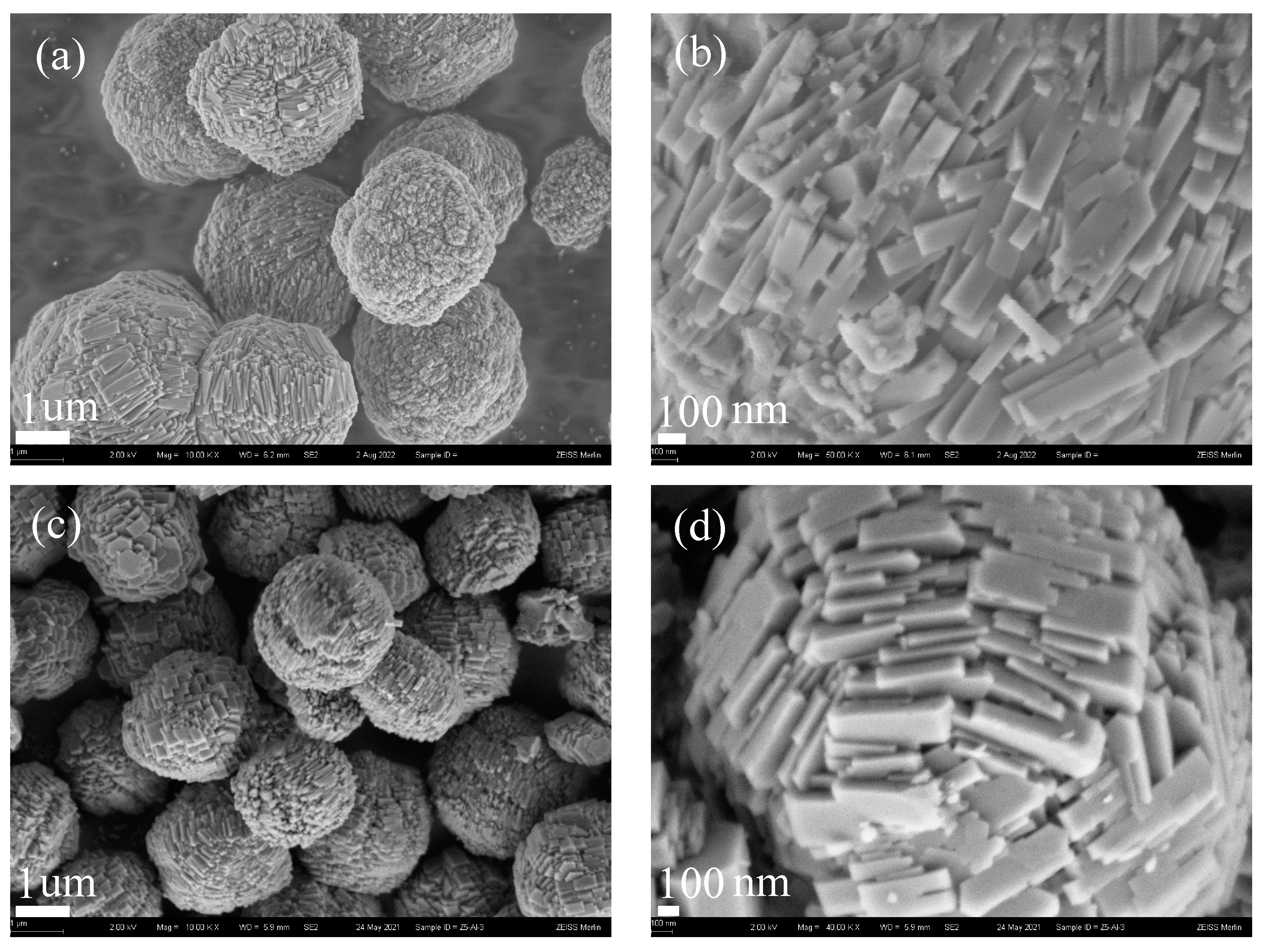 Catalysts 13 01295 g002