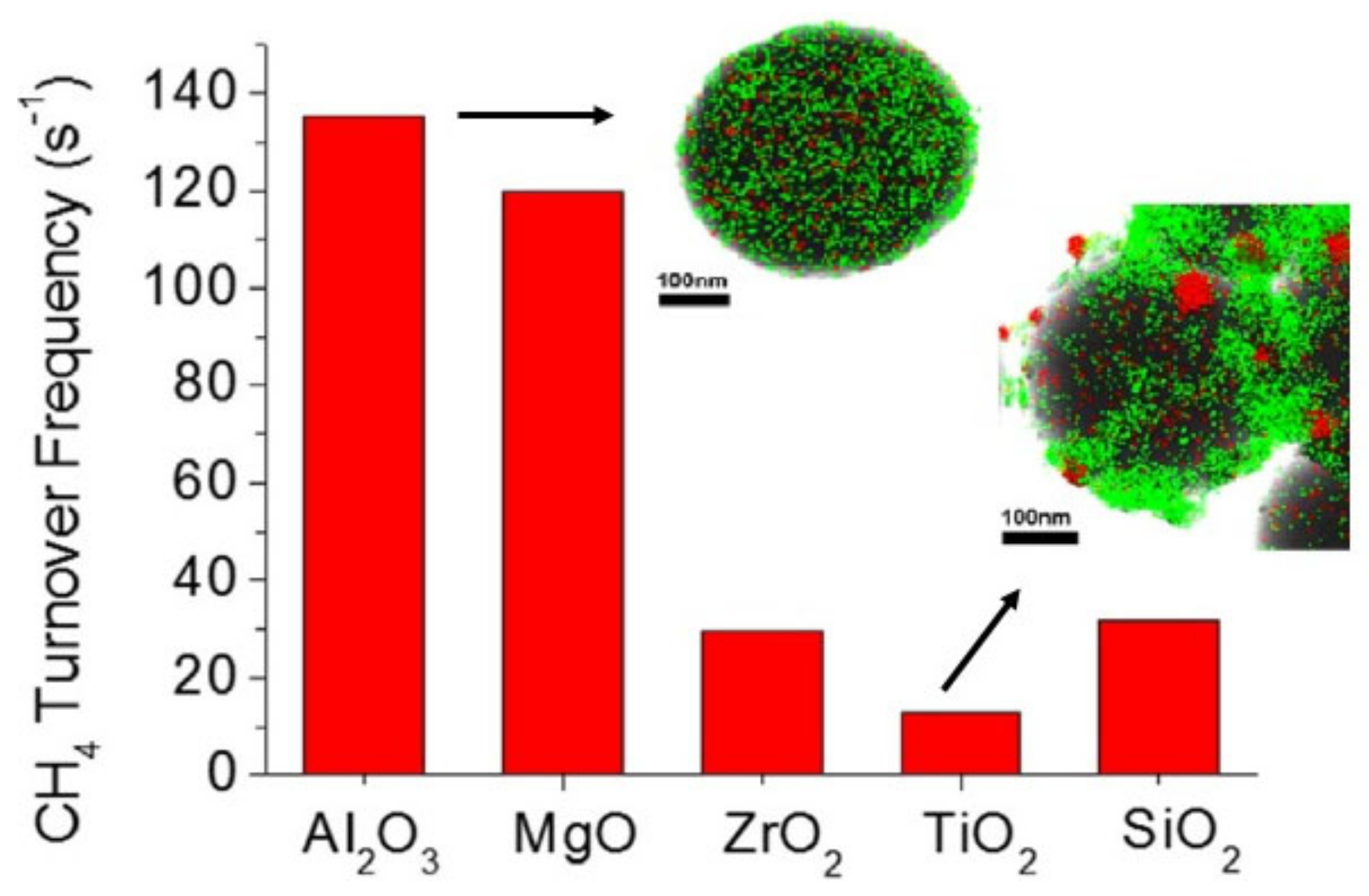 Catalysts 13 01296 g010