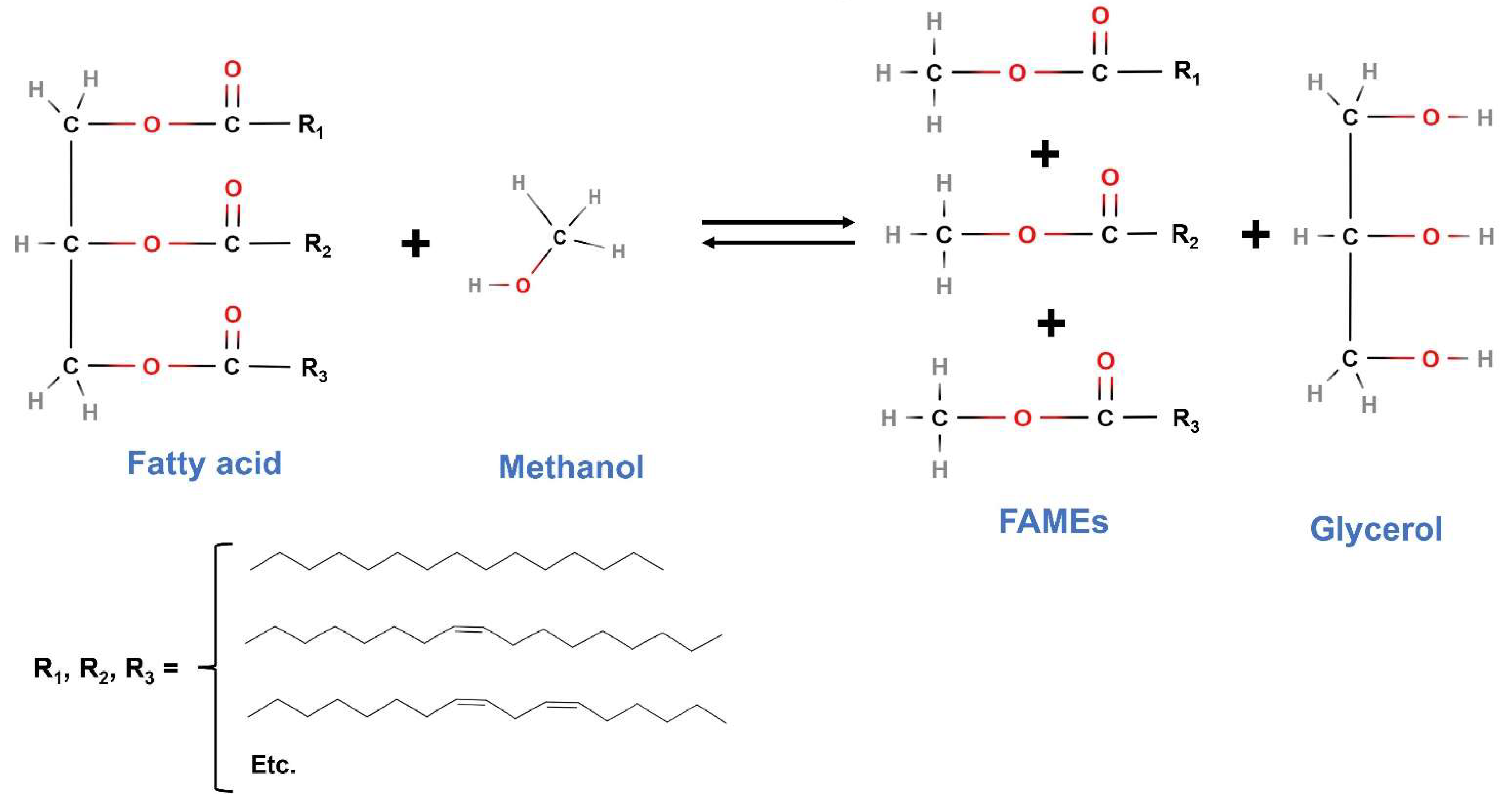 Catalysts 13 01299 g010