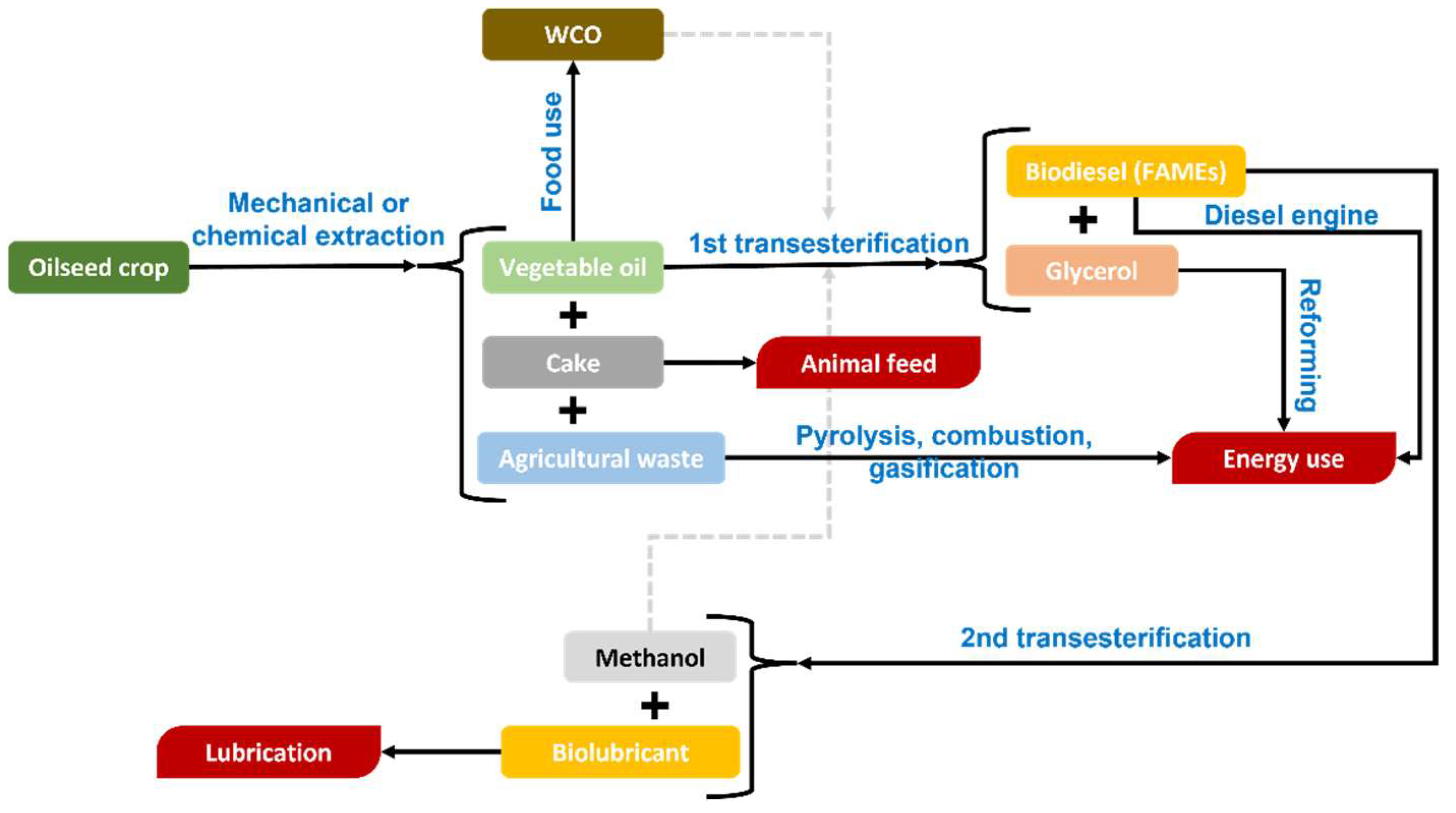 Catalysts 13 01299 g013