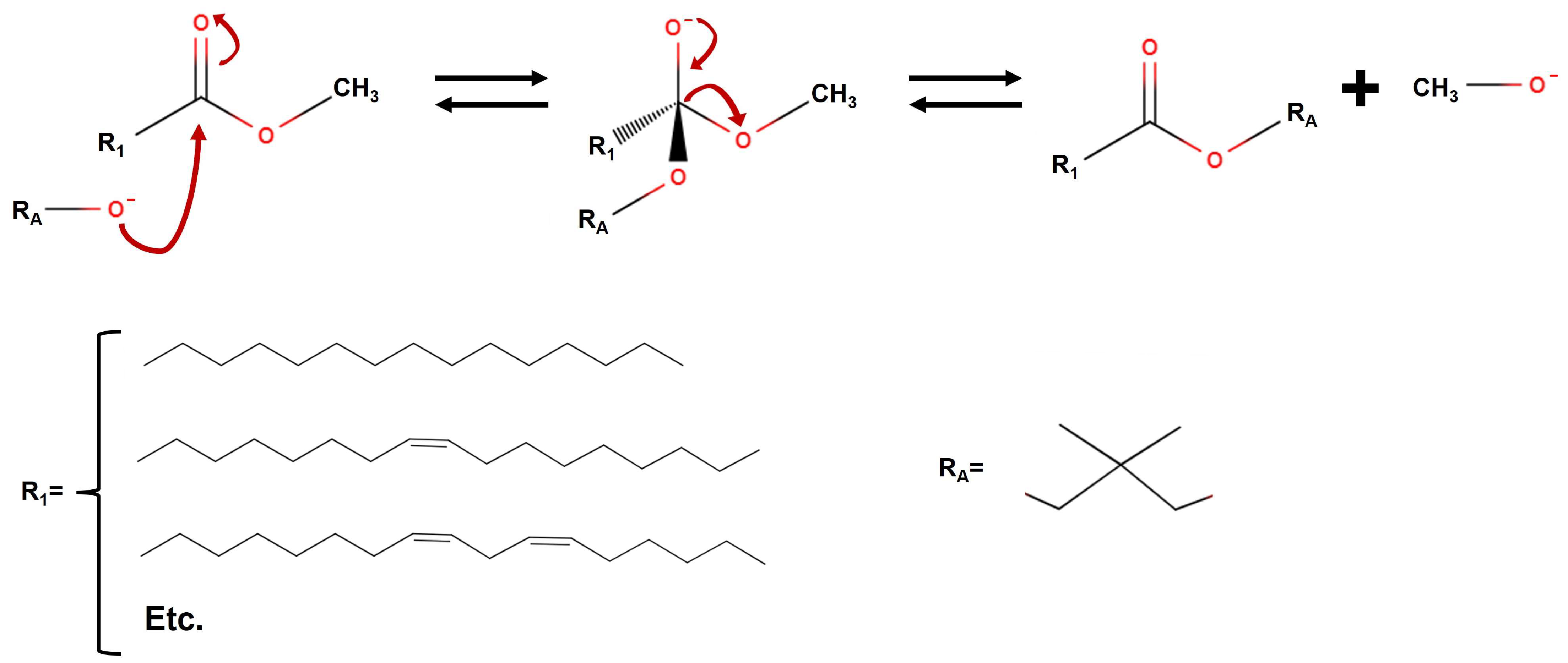 Catalysts 13 01299 g014