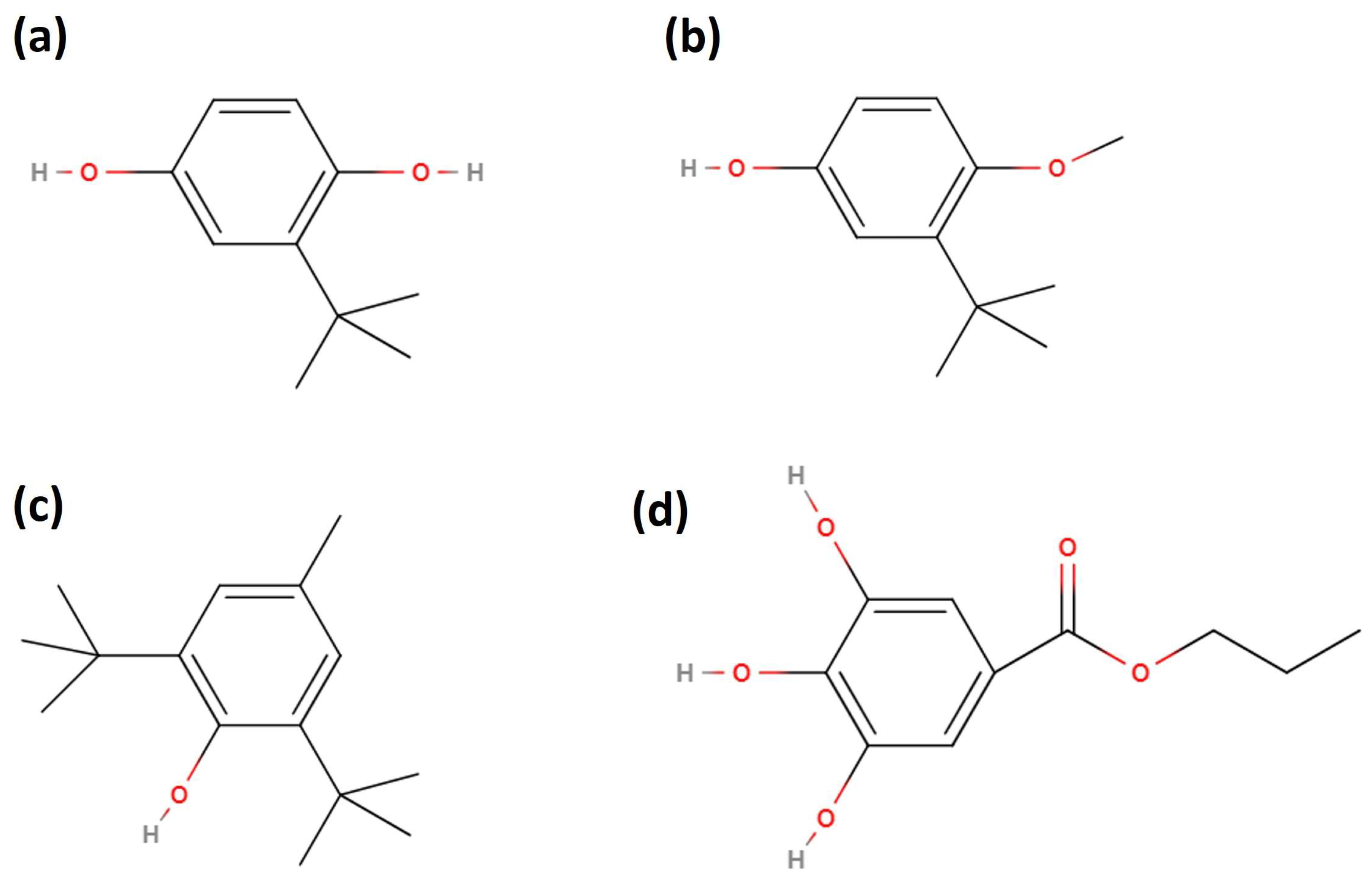 Catalysts 13 01299 g016