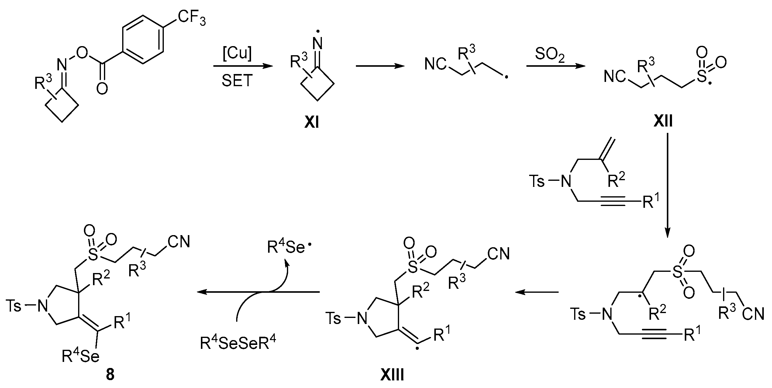 Catalysts 13 01300 sch014 Catalysts 13 01300 sch014