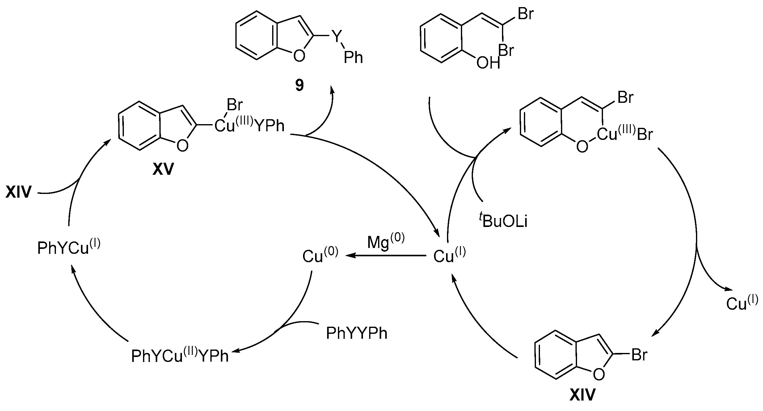 Catalysts 13 01300 sch016 Catalysts 13 01300 sch016
