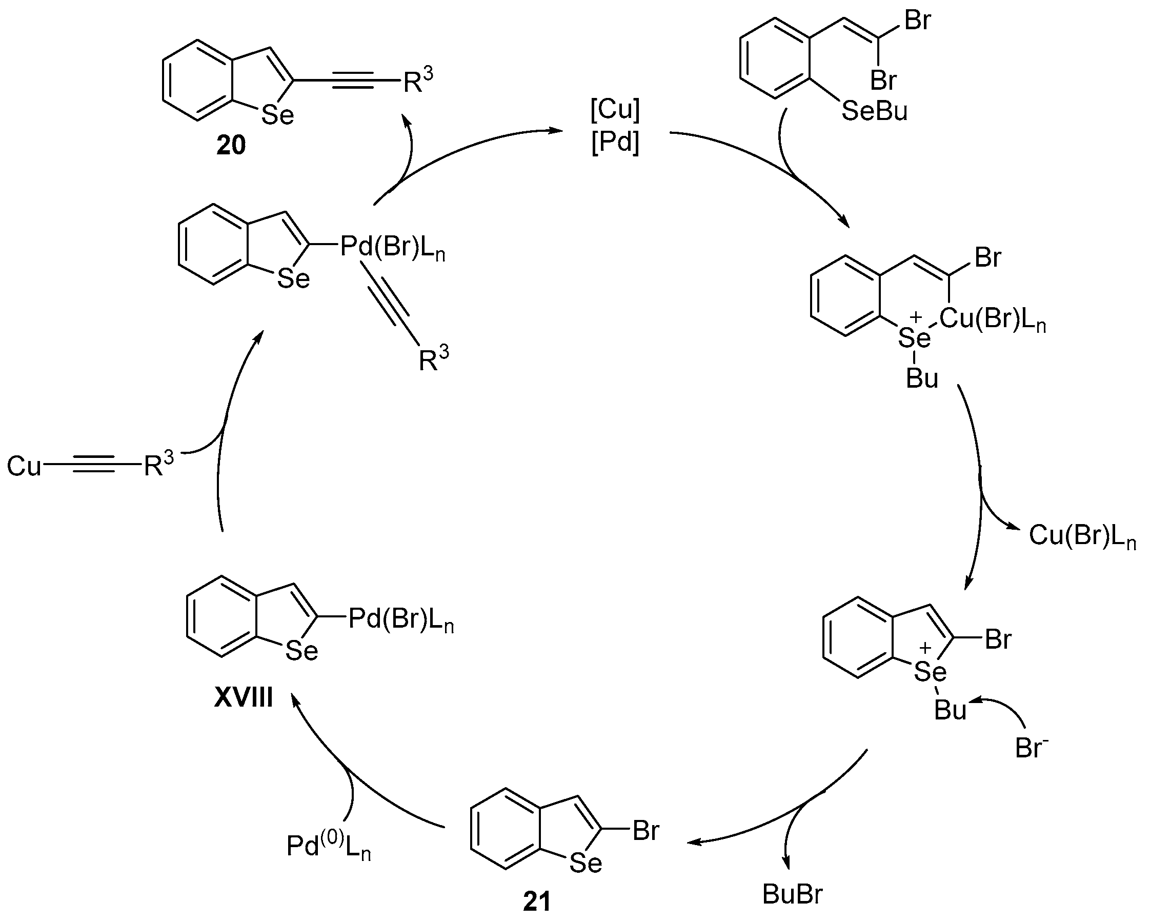 Catalysts 13 01300 sch027 Catalysts 13 01300 sch027