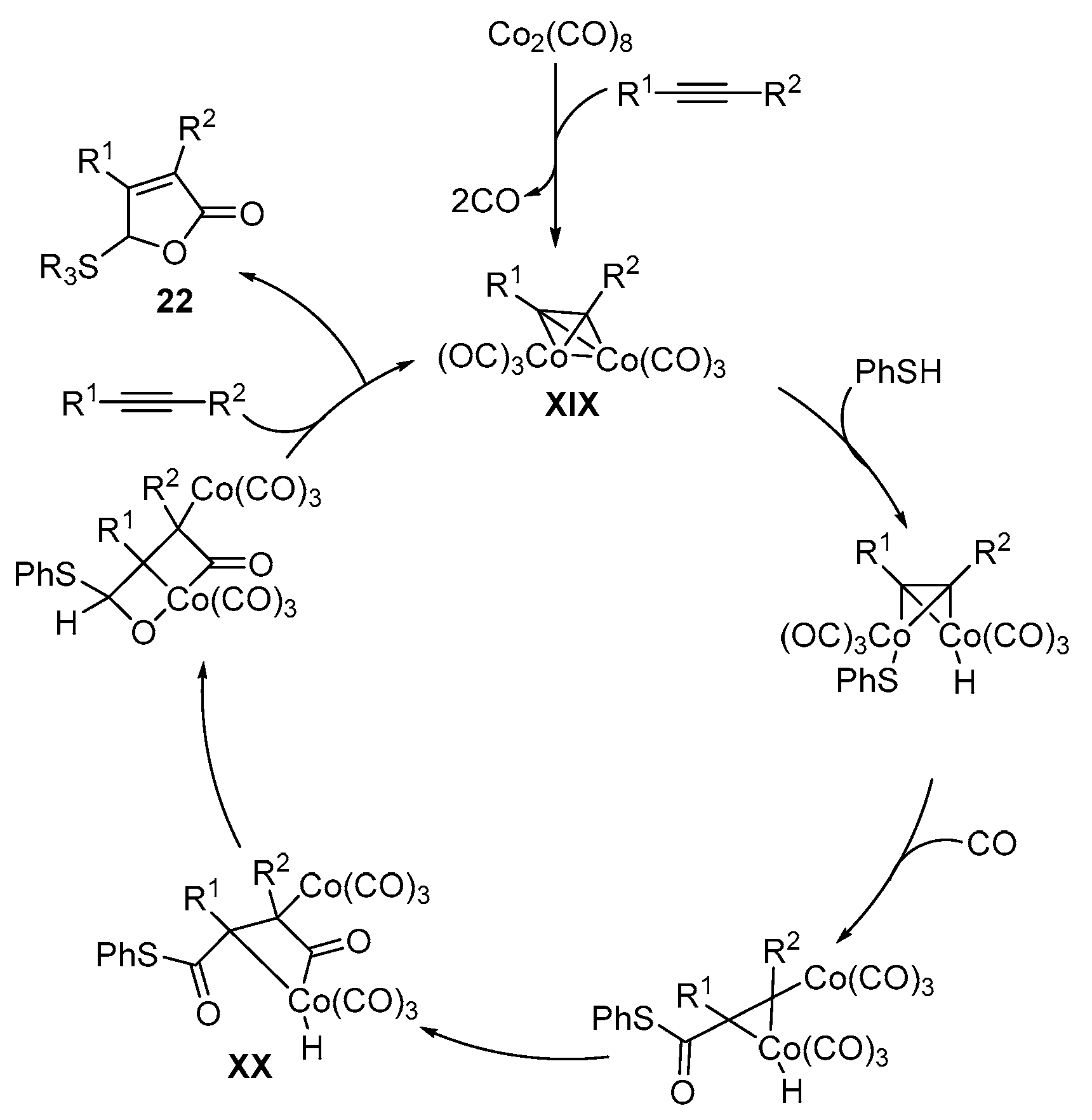 Catalysts 13 01300 sch029 Catalysts 13 01300 sch029