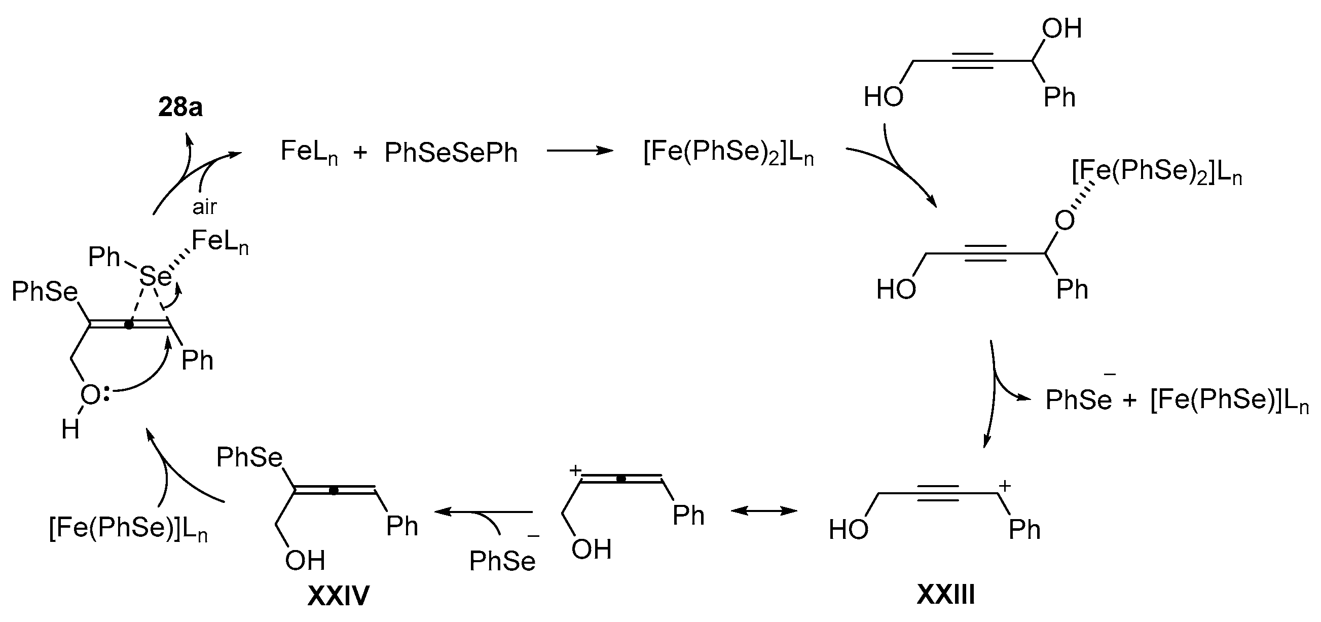 Catalysts 13 01300 sch035 Catalysts 13 01300 sch035