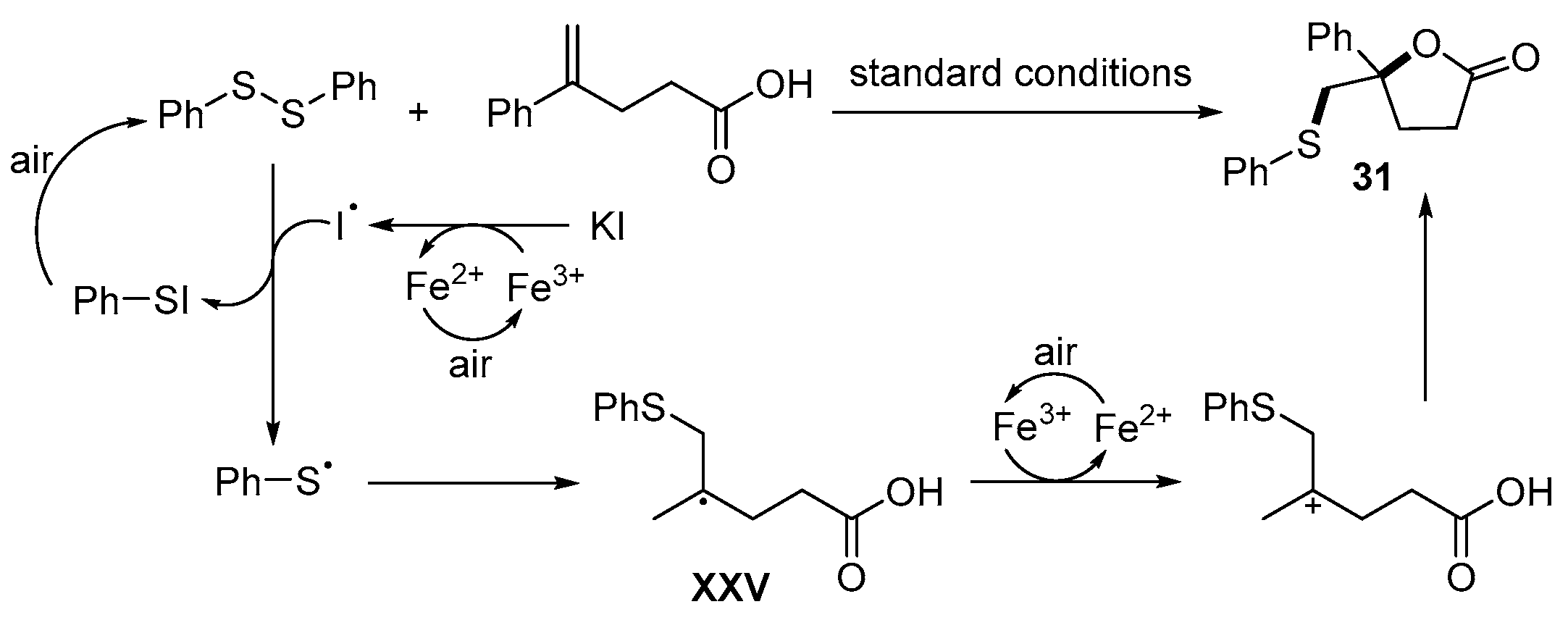 Catalysts 13 01300 sch037 Catalysts 13 01300 sch037