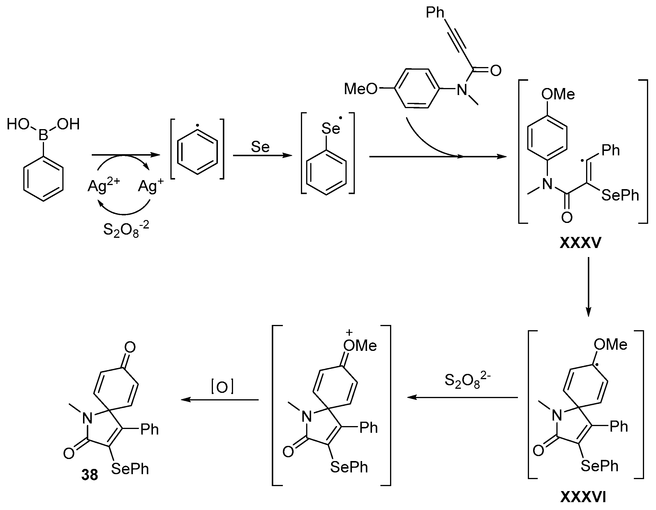 Catalysts 13 01300 sch049 Catalysts 13 01300 sch049