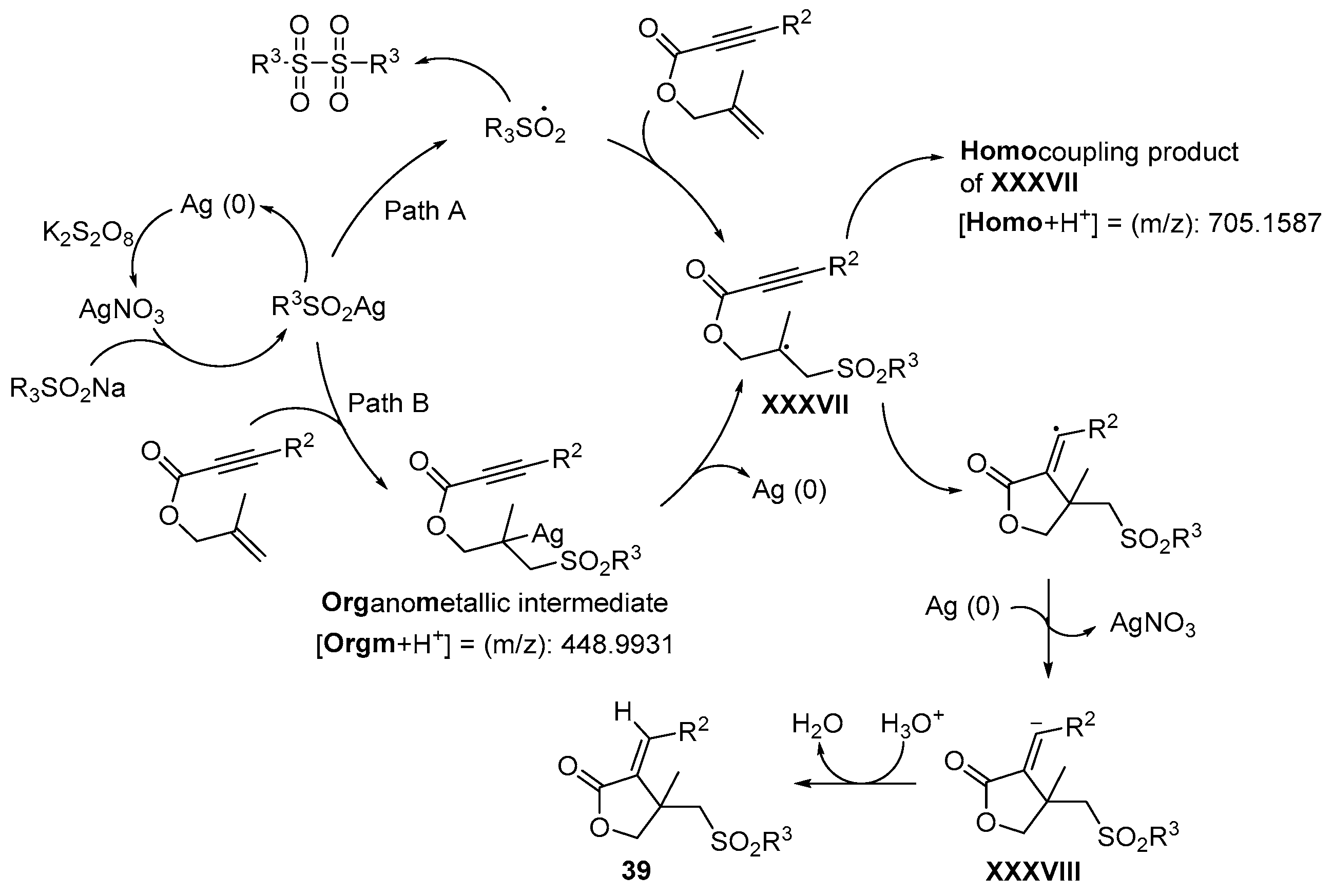 Catalysts 13 01300 sch051 Catalysts 13 01300 sch051