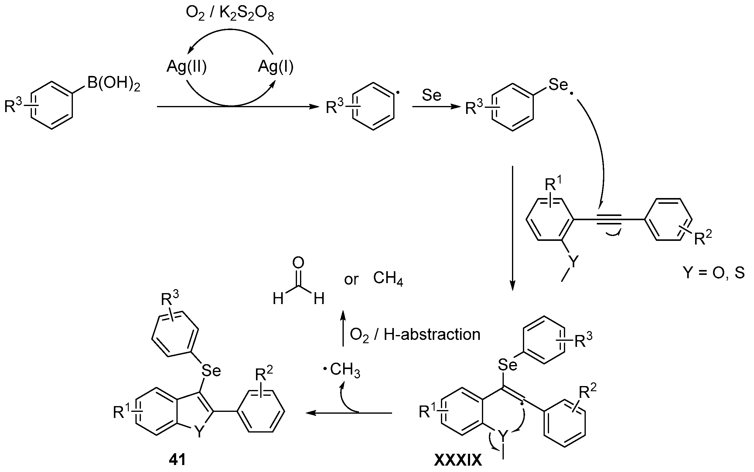 Catalysts 13 01300 sch055 Catalysts 13 01300 sch055
