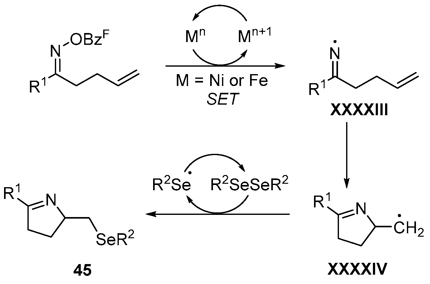 Catalysts 13 01300 sch060 Catalysts 13 01300 sch060