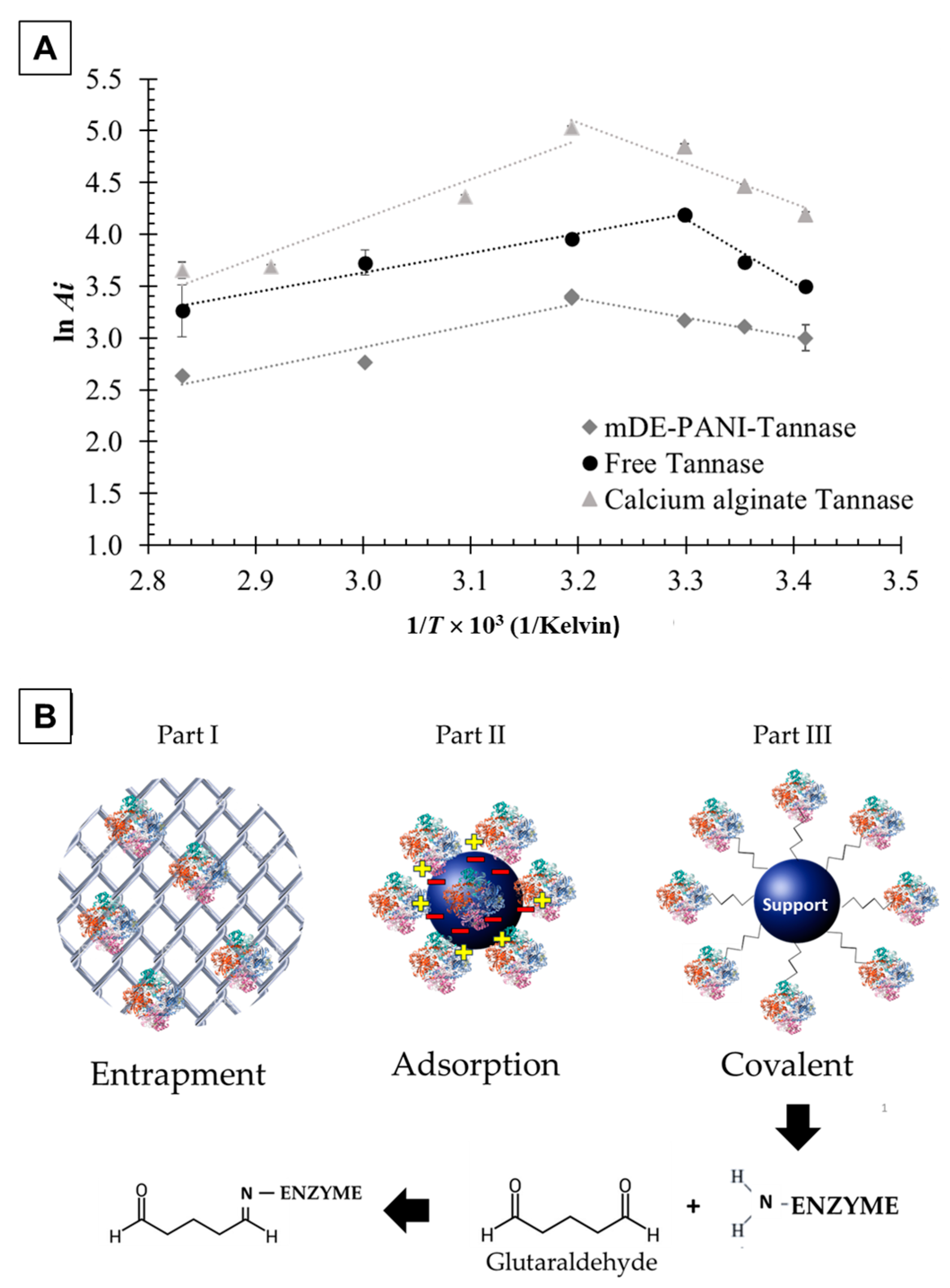Catalysts 13 01304 g001 Catalysts 13 01304 g001