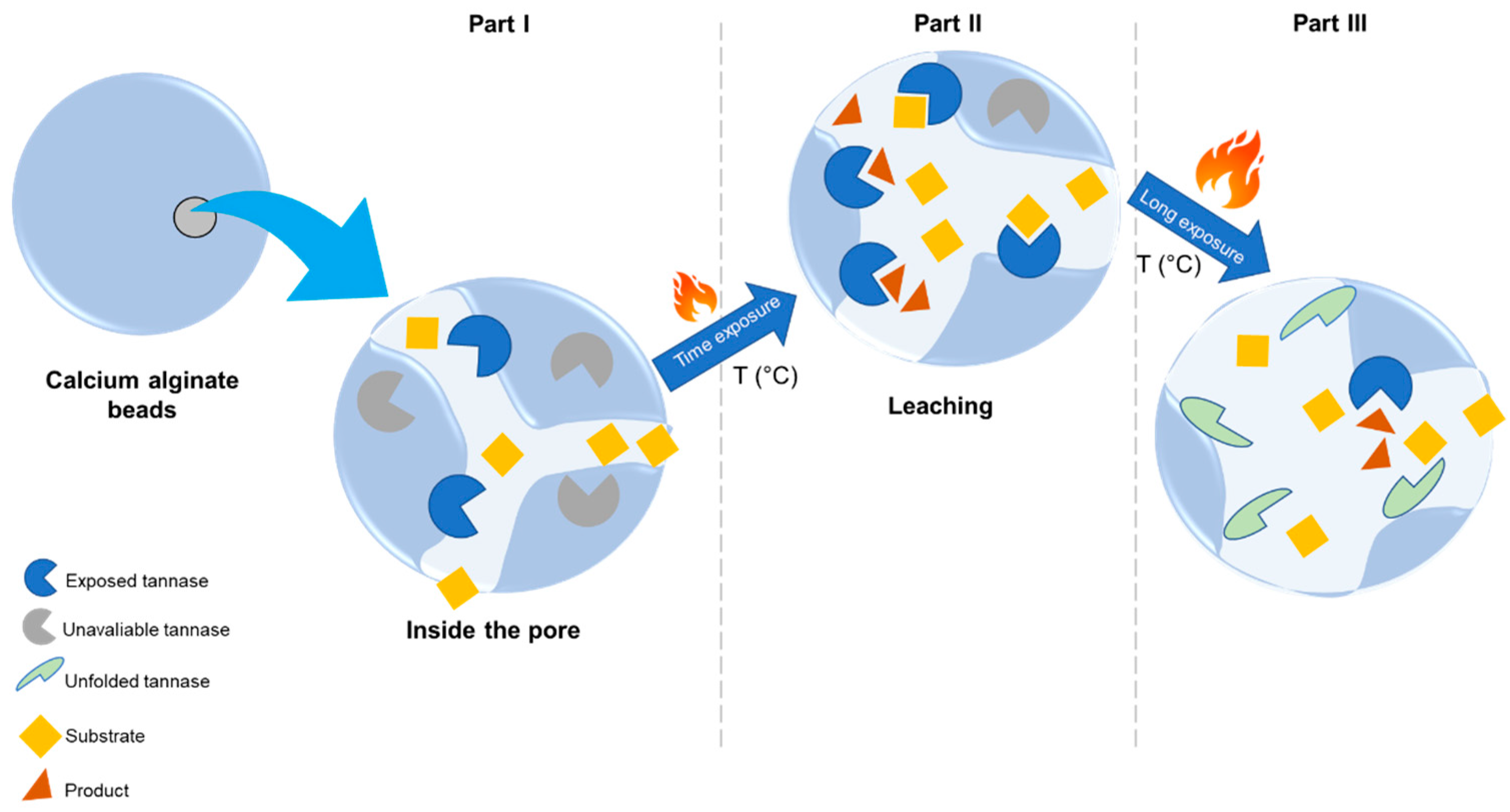 Catalysts 13 01304 g005 Catalysts 13 01304 g005