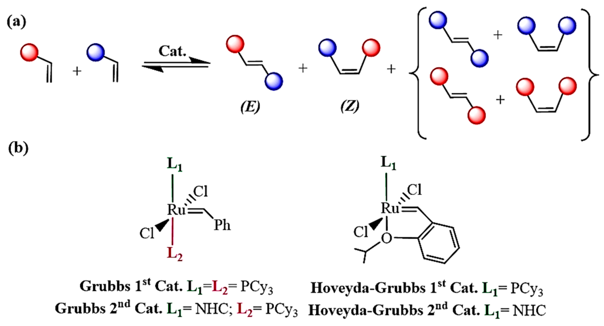 Catalysts 13 01305 g001