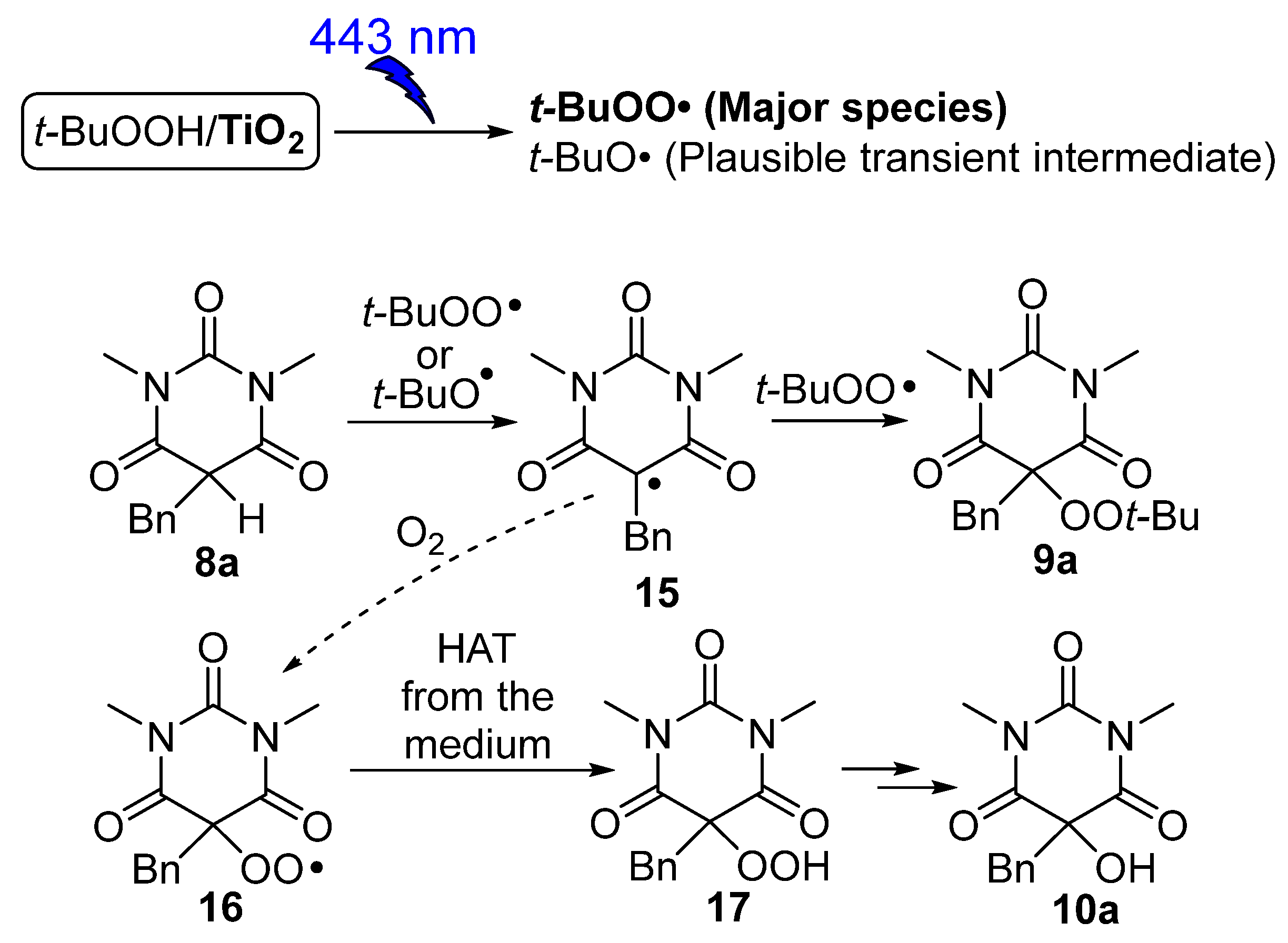 Catalysts 13 01306 sch006