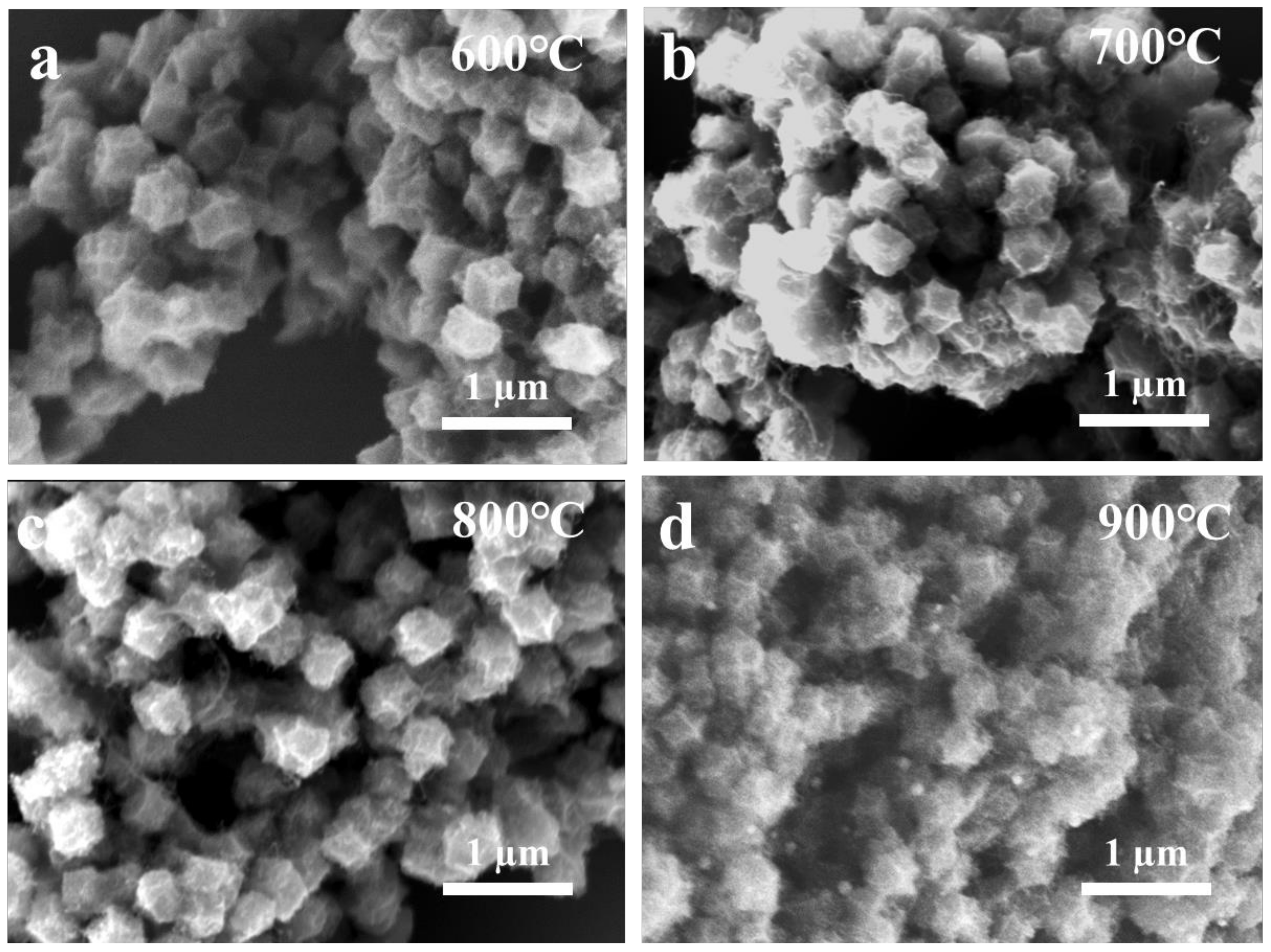 Catalysts 13 01307 g004