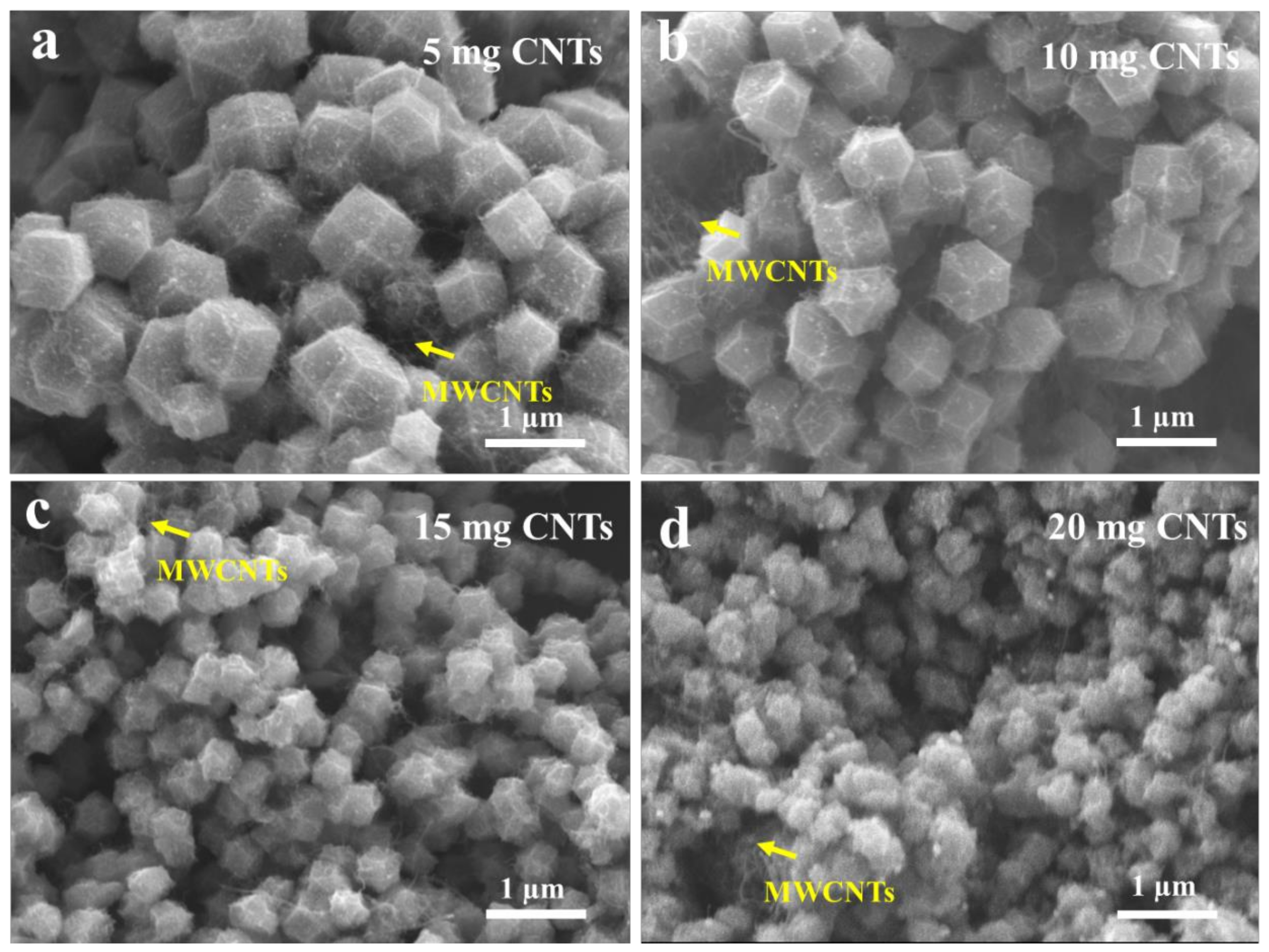 Catalysts 13 01307 g005