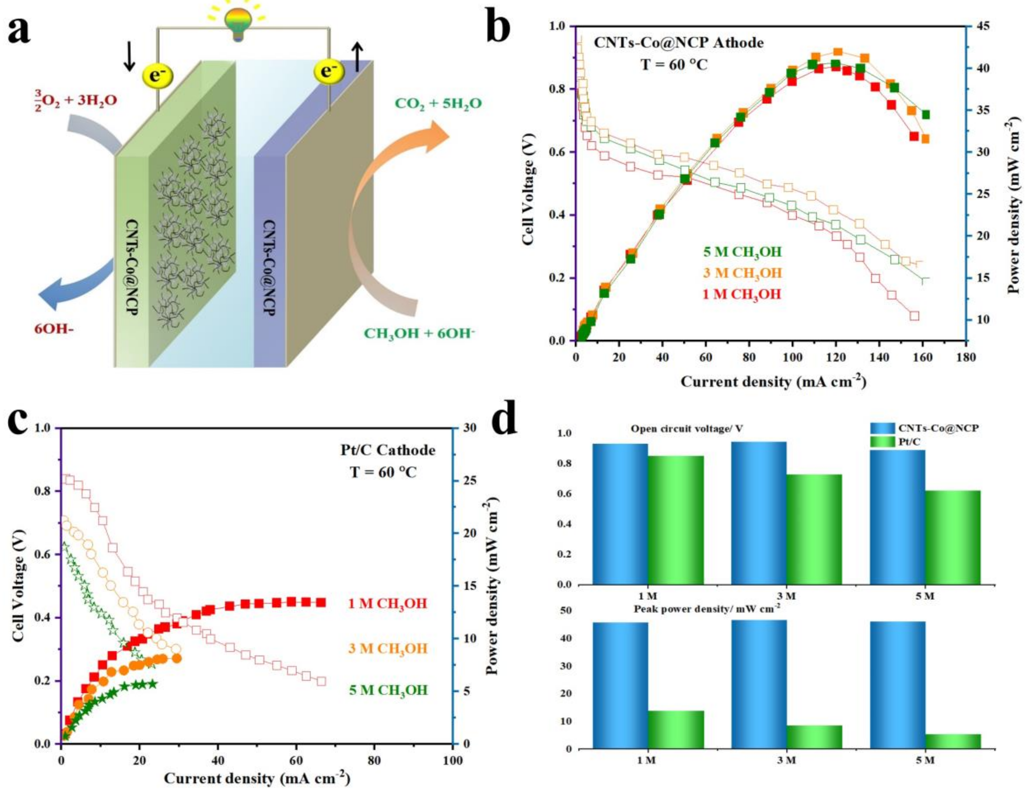 Catalysts 13 01307 g012