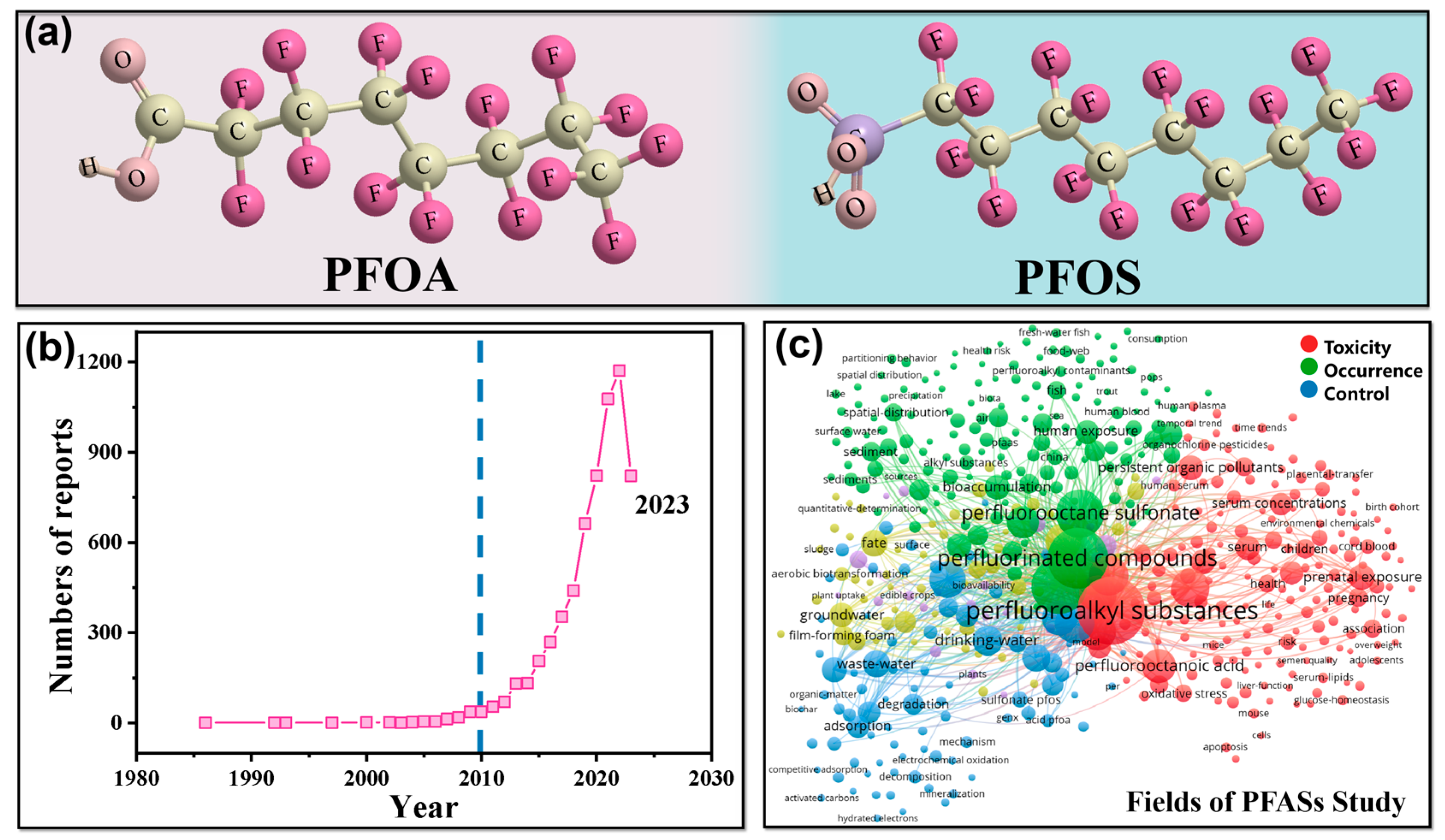 Catalysts 13 01308 g001