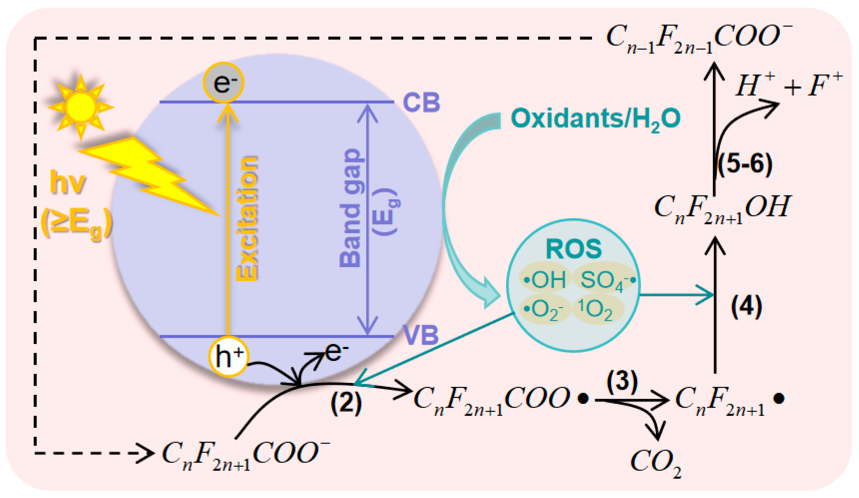 Catalysts 13 01308 g002