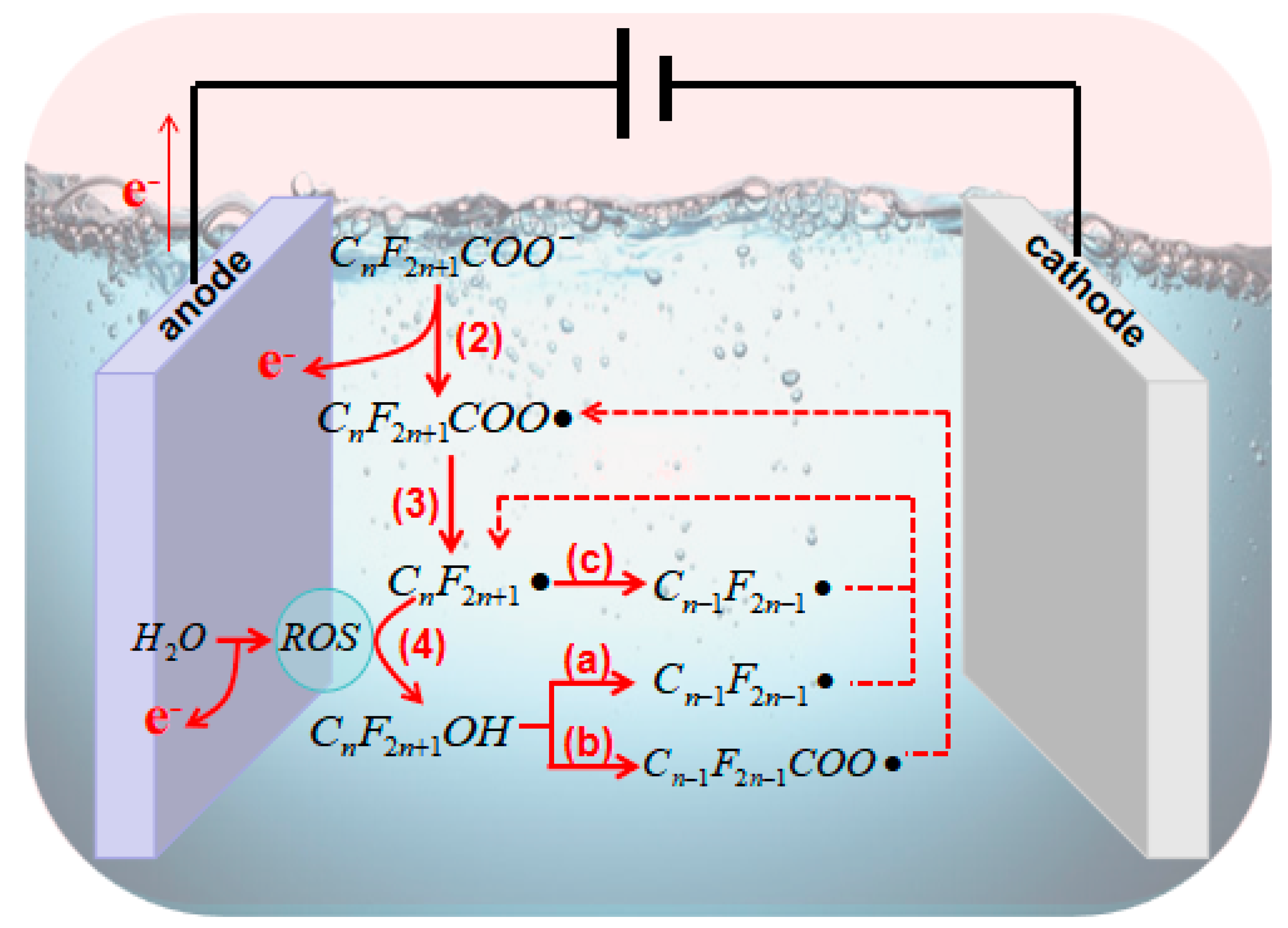 Catalysts 13 01308 g003