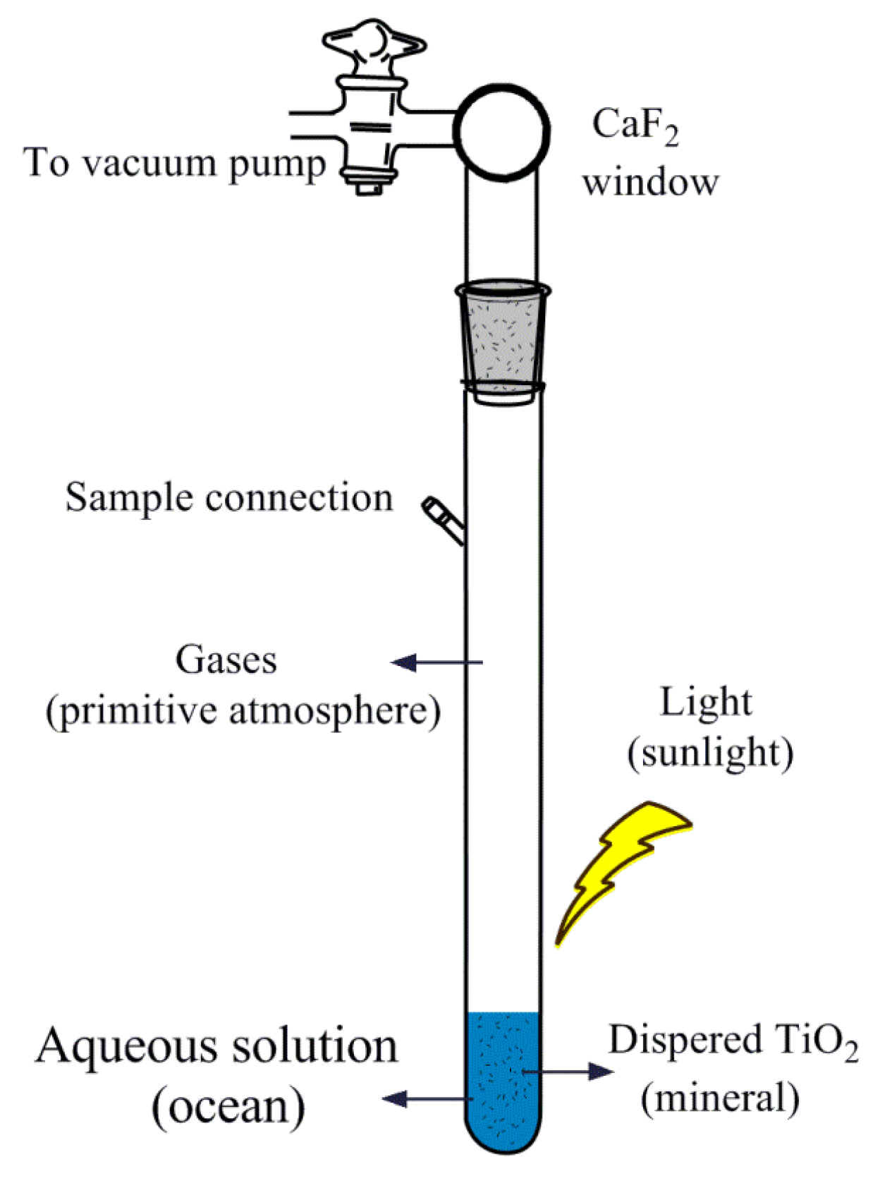 Catalysts 13 01310 g001 Catalysts 13 01310 g001